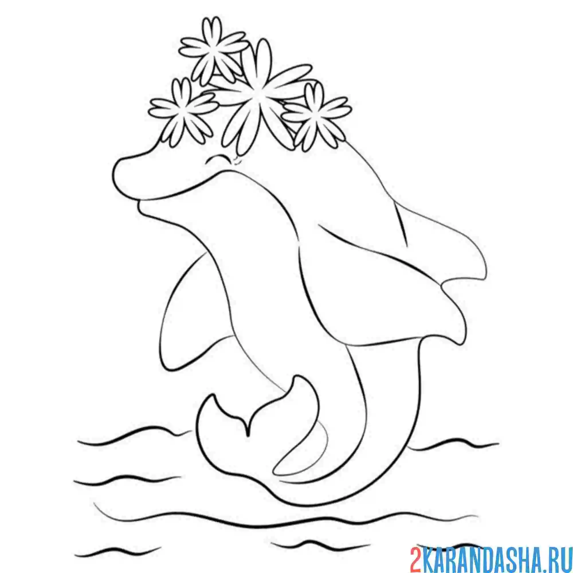 Раскраска дельфин цветочки