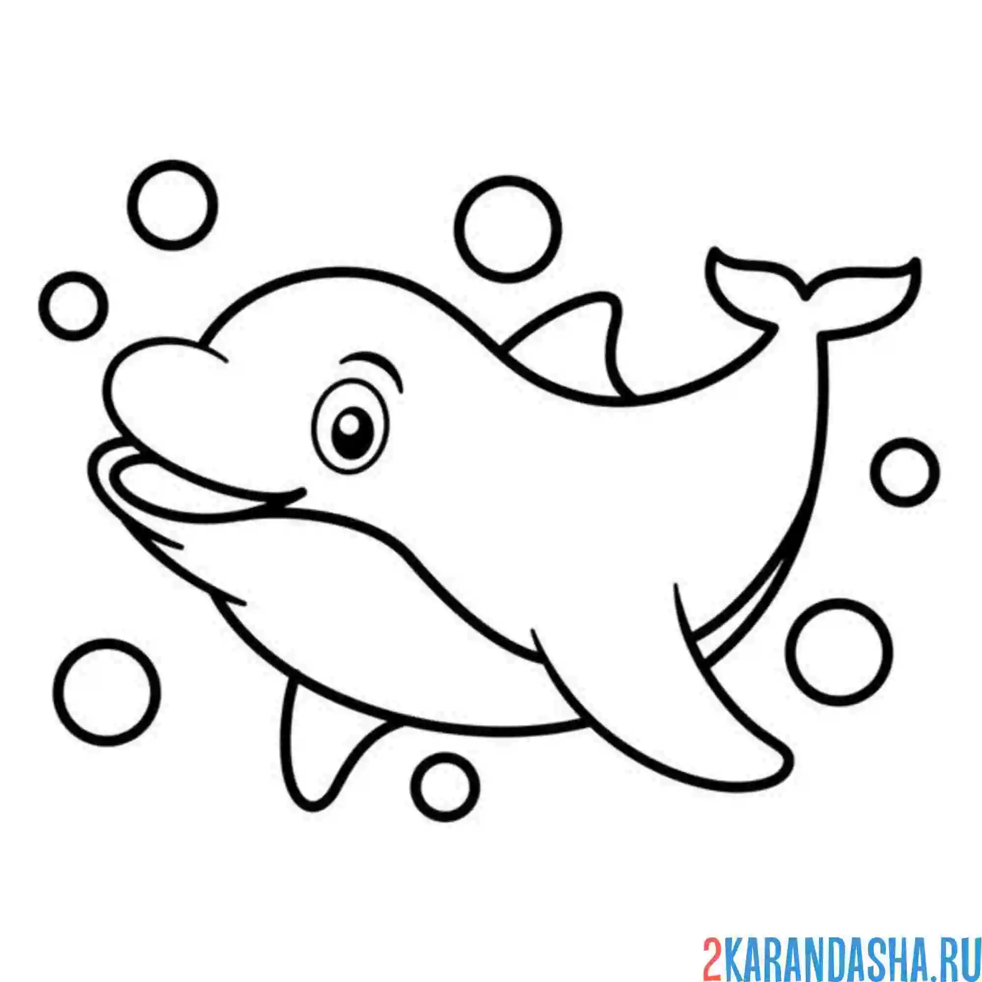 Раскраска дельфин и пузырики