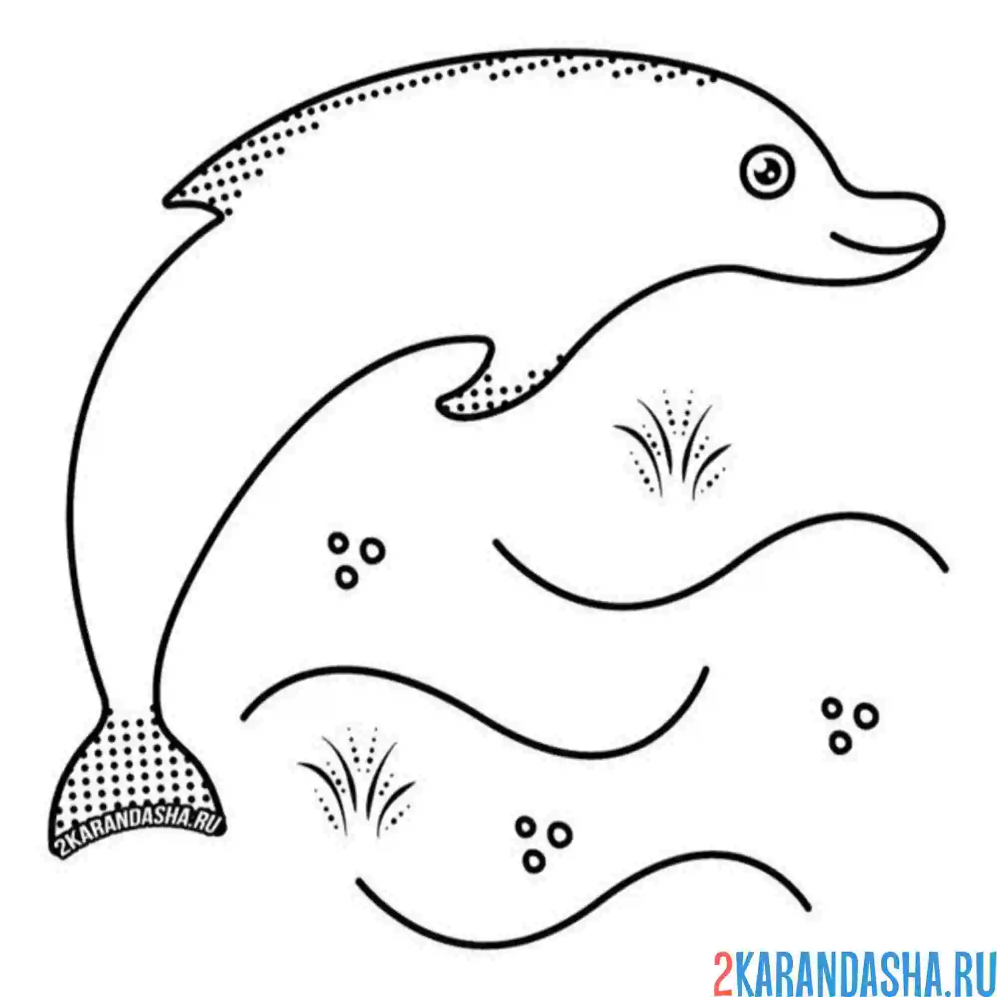 Раскраска дельфин нарисованный