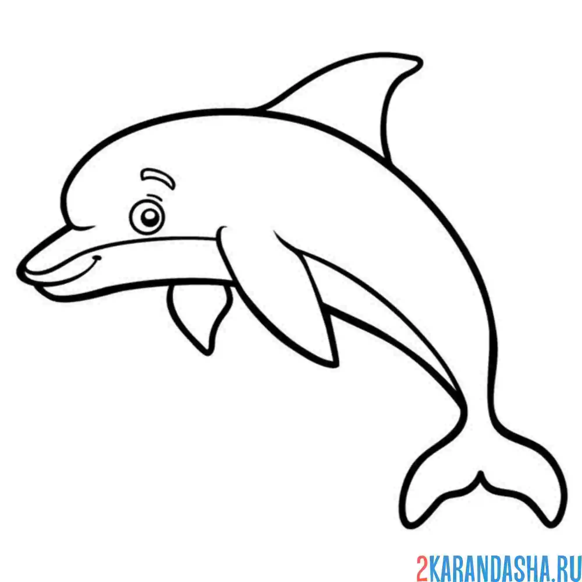 Раскраска хорошенький дельфин
