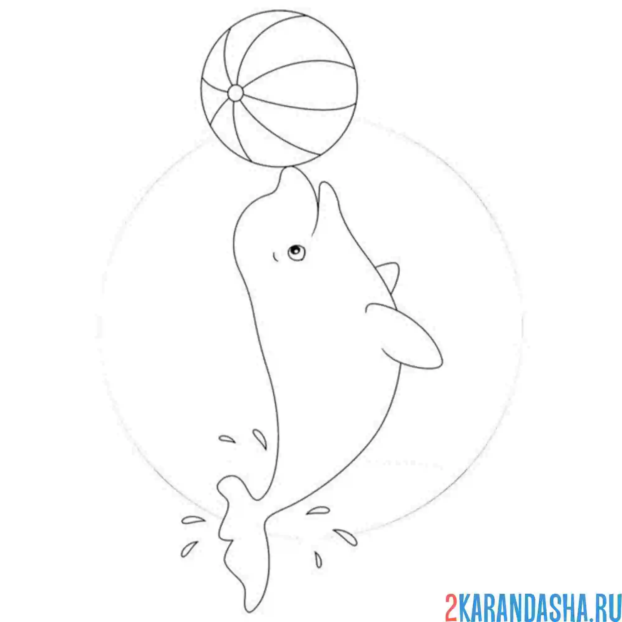 Раскраска дельфин с мячом