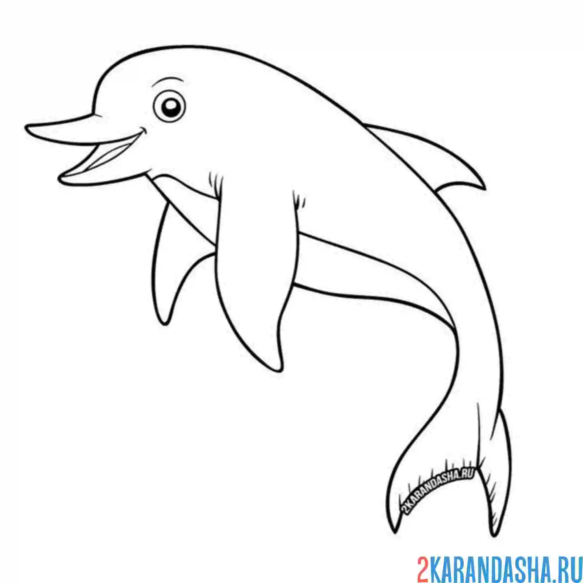 Раскраска улыбака дельфин