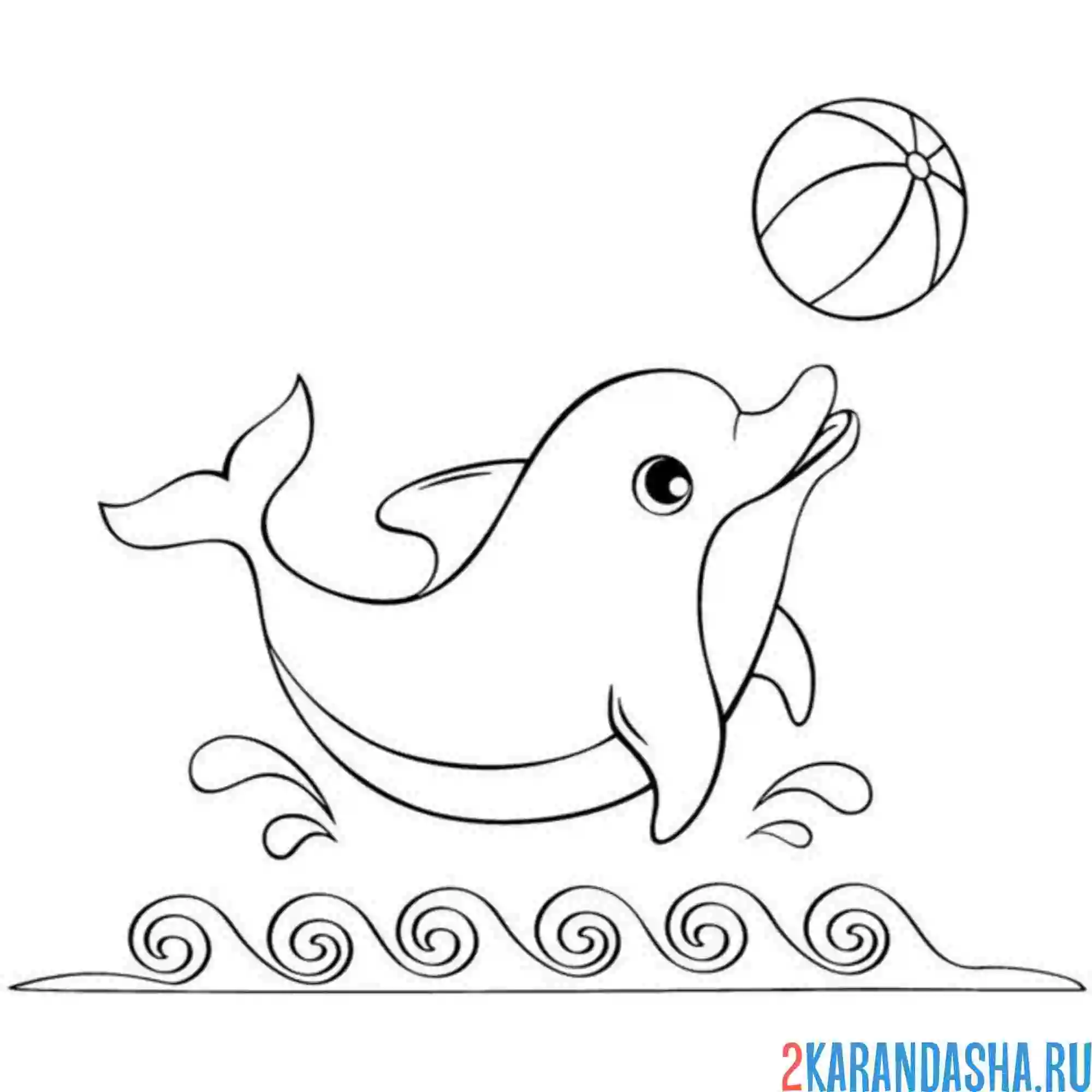 Раскраска дельфин играет
