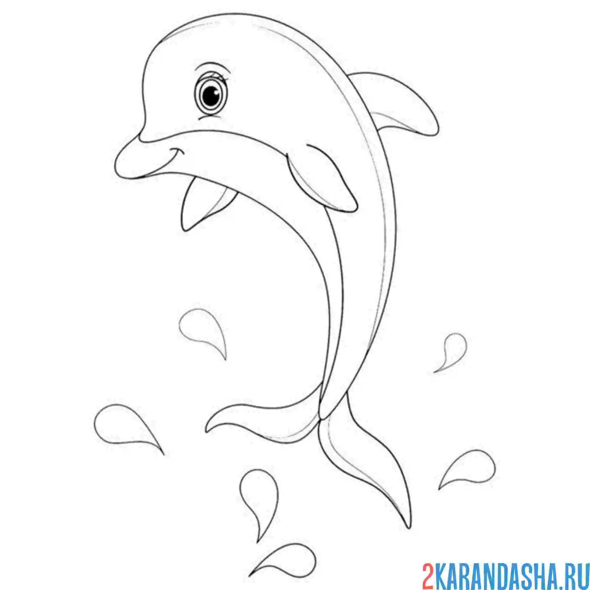 Раскраска дельфин над водой