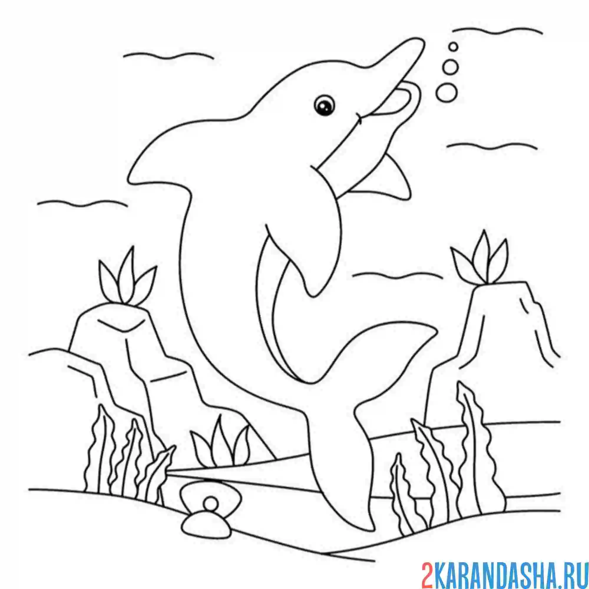 Раскраска морской дельфин