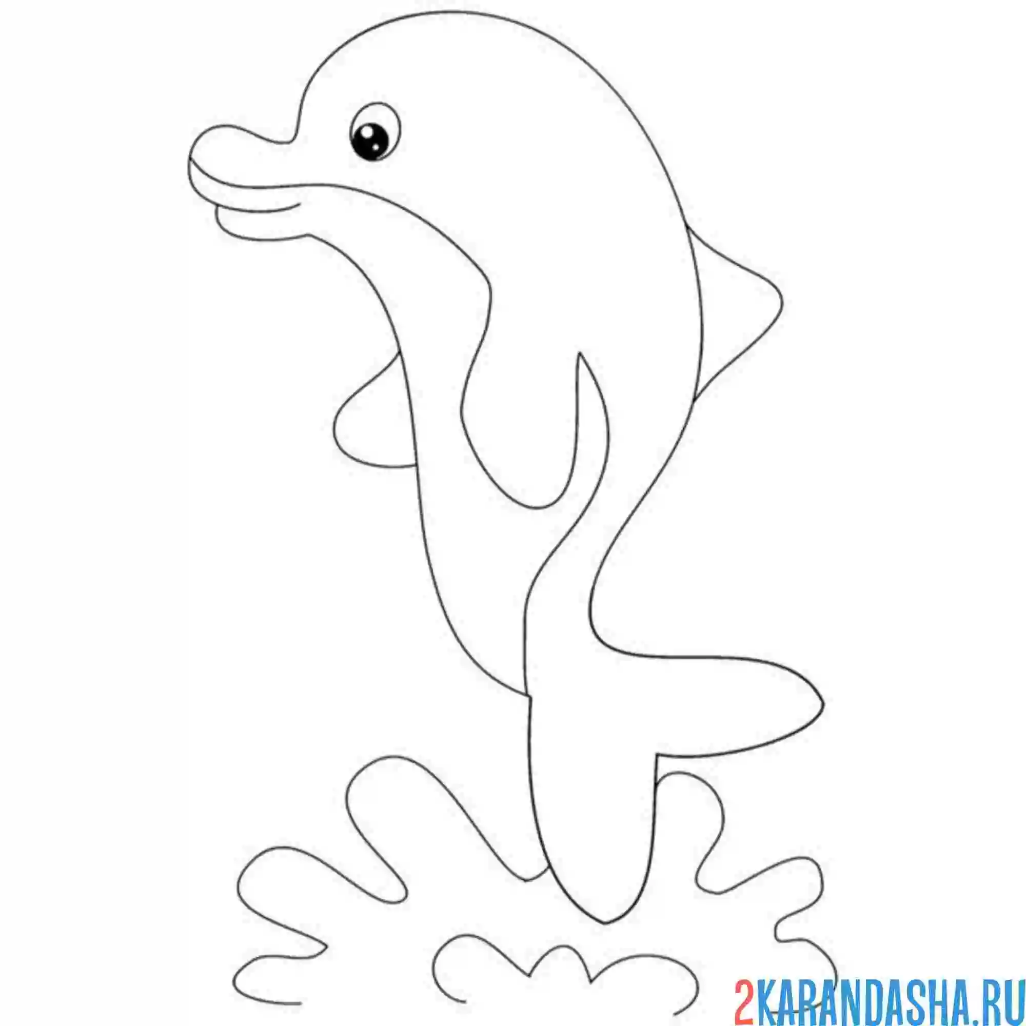 Раскраска дельфин умеет так