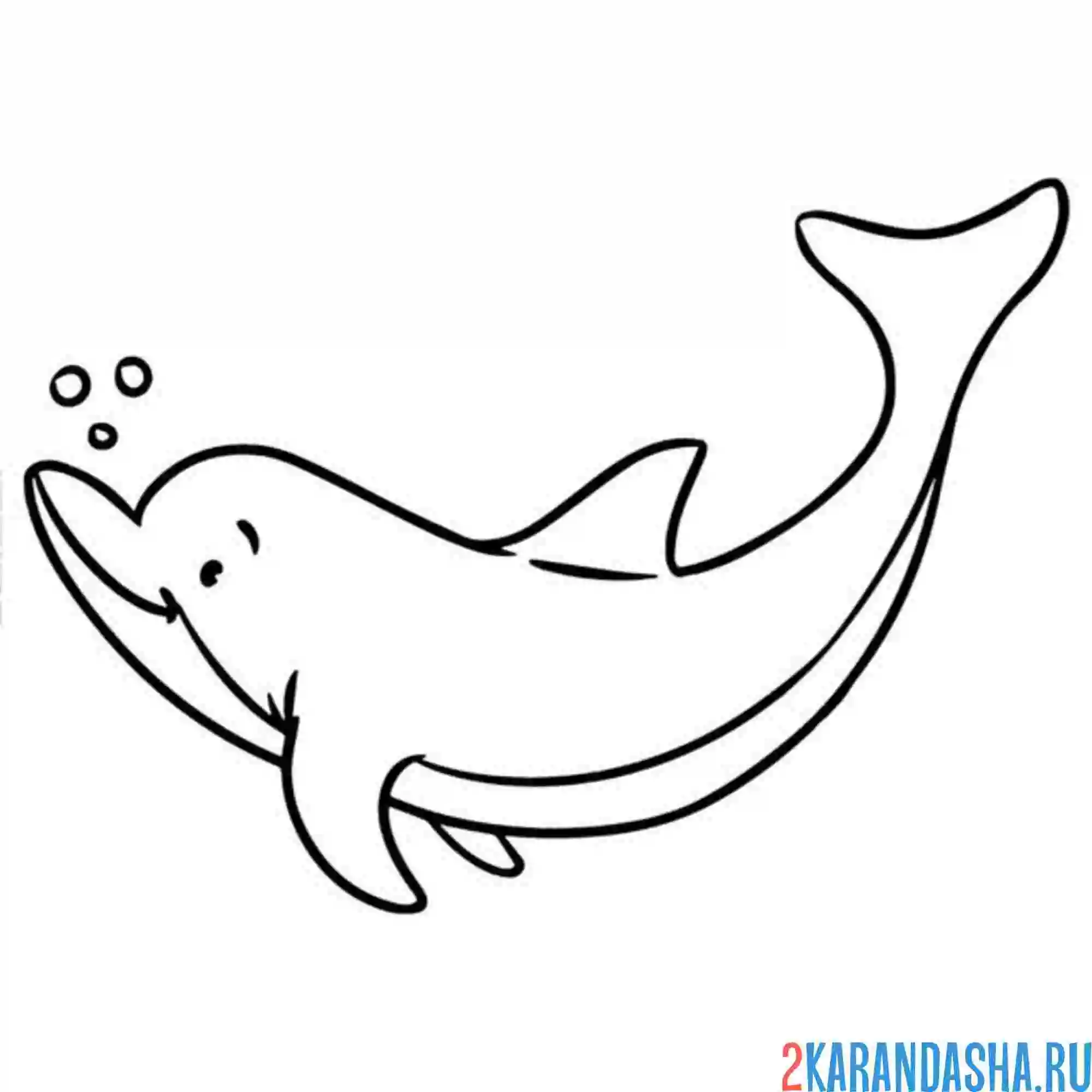Раскраска дельфин хочет прыгнуть
