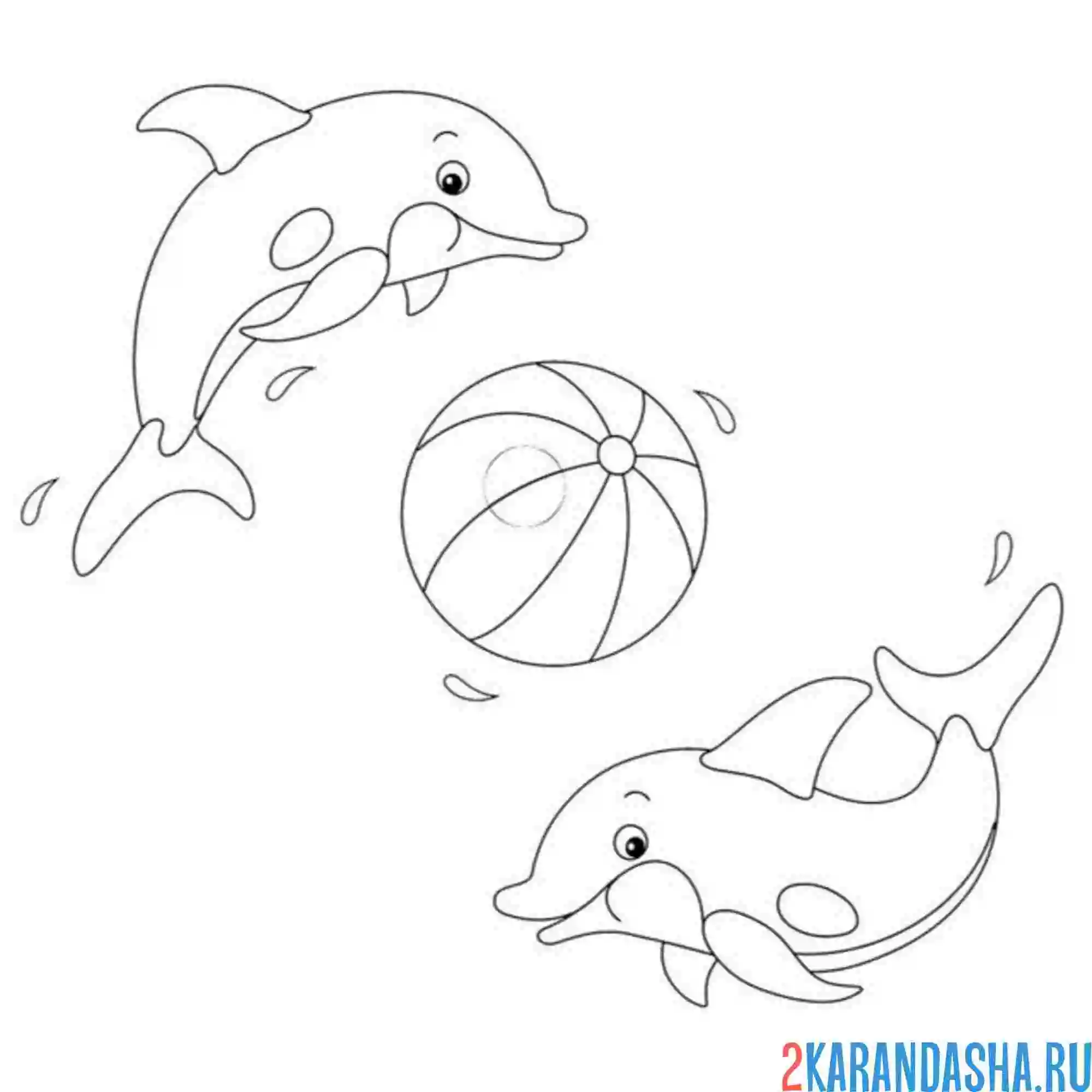 Раскраска два дельфина и мяч
