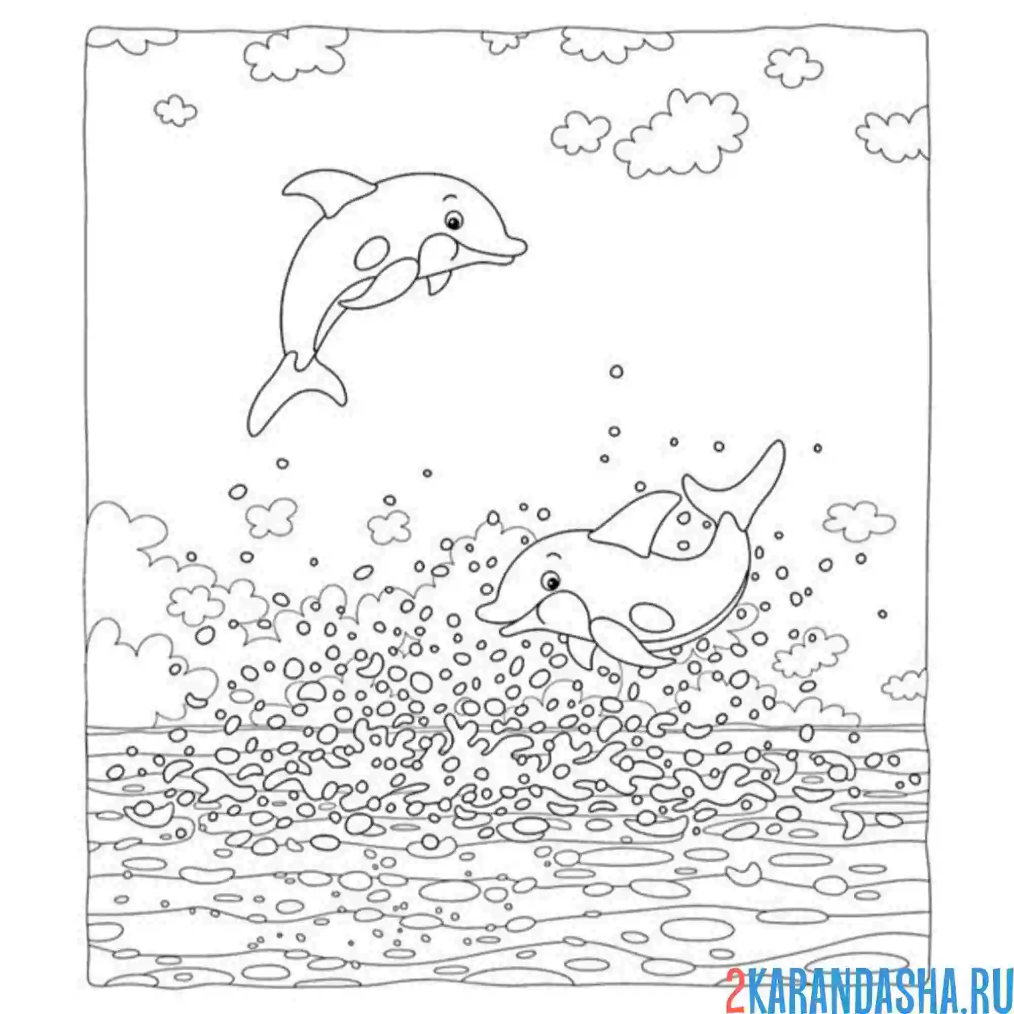 Раскраска свободные дельфины