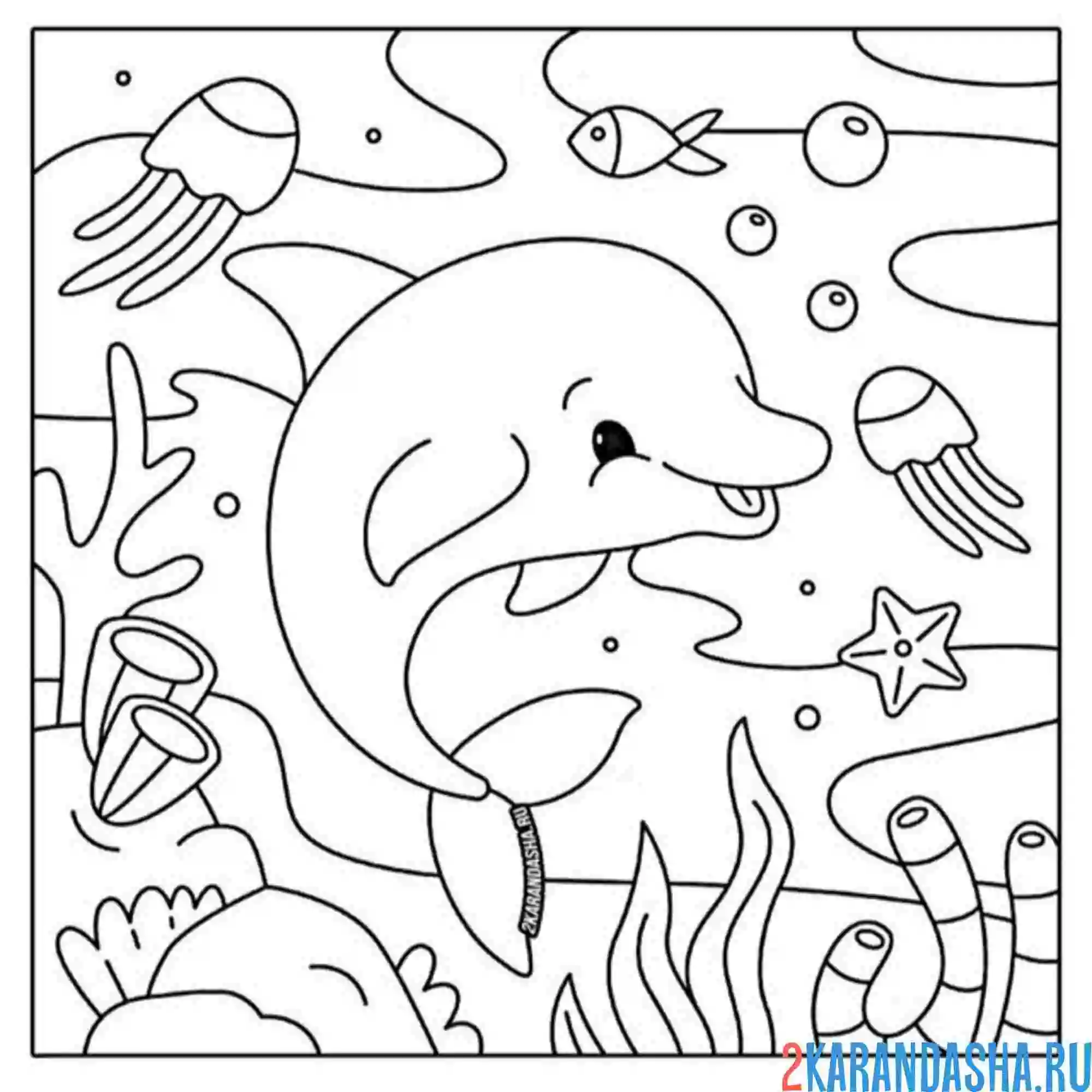 Раскраска дельфин на дне океана