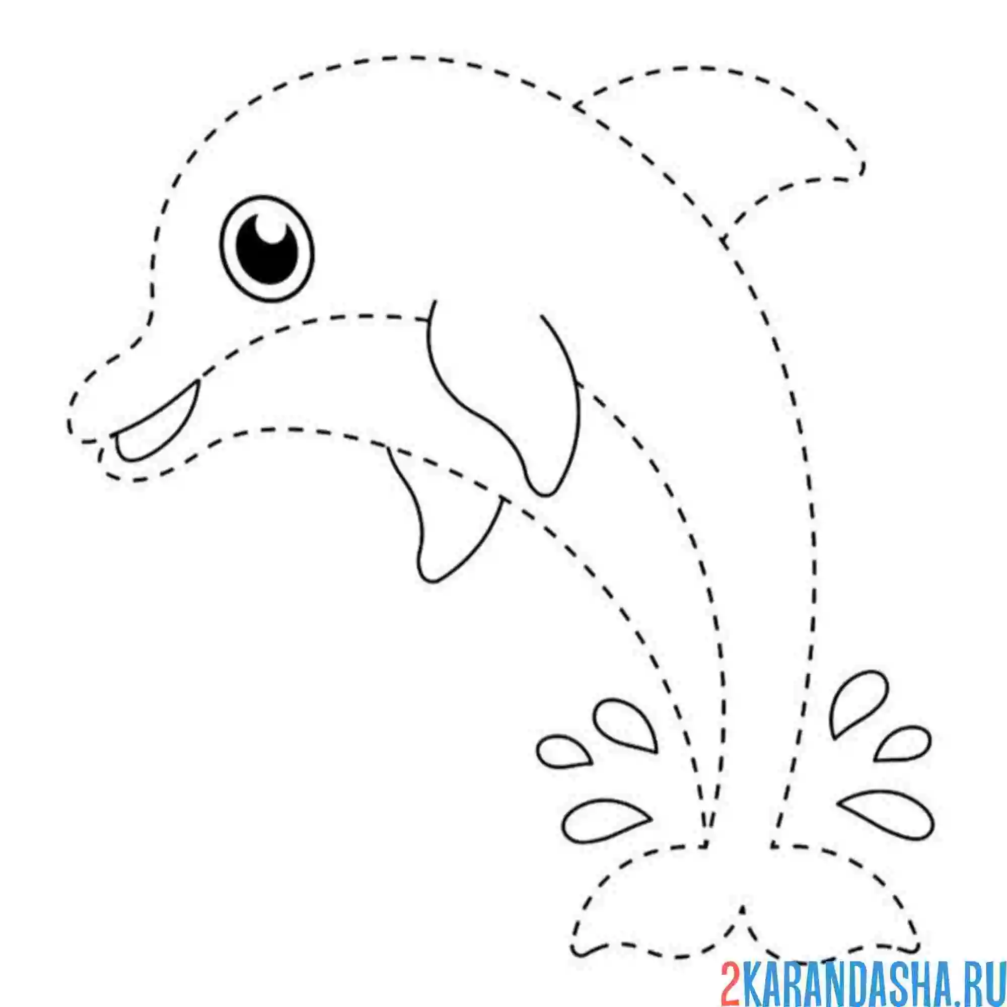Раскраска обведи дельфина