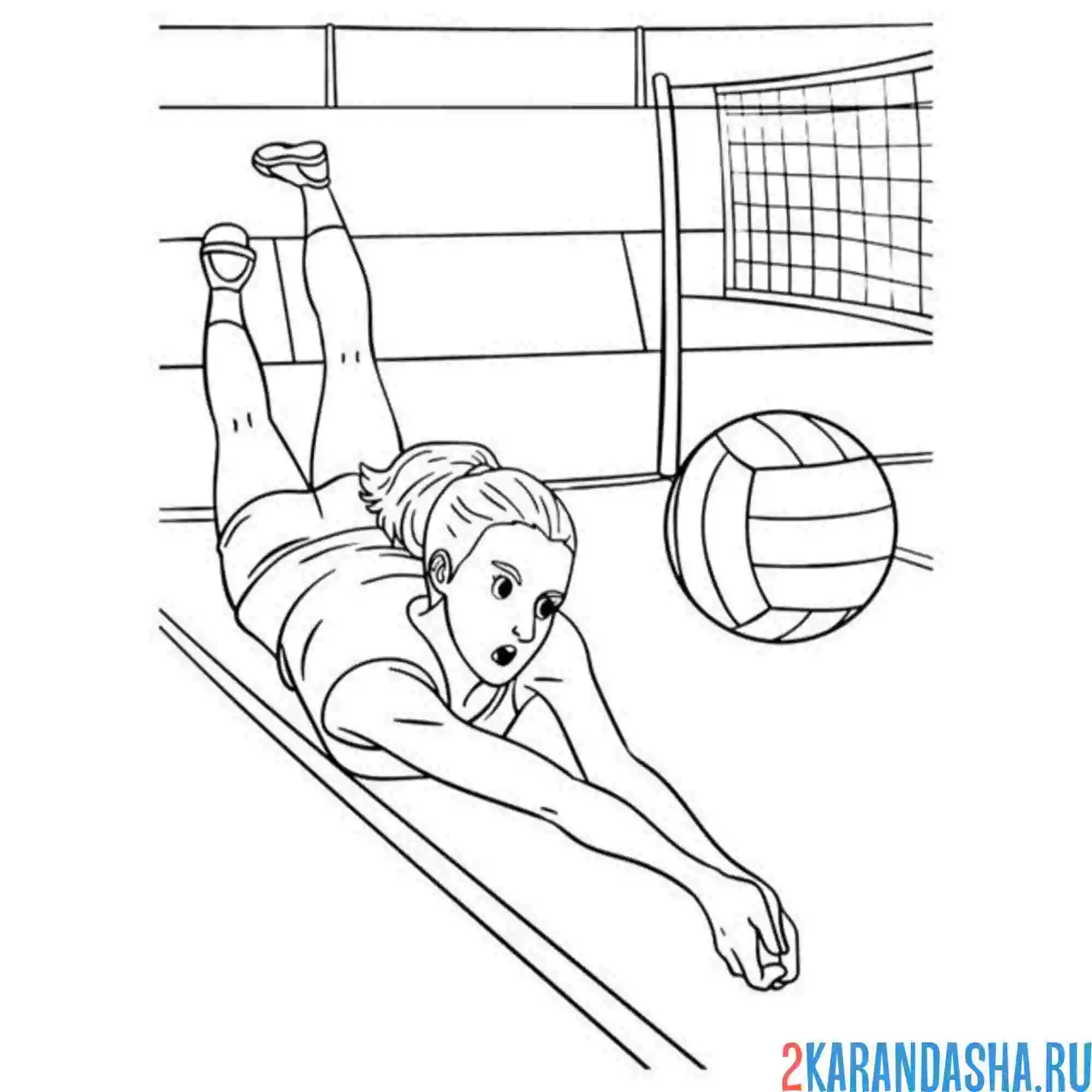 Раскраска профессиональный воллейбол
