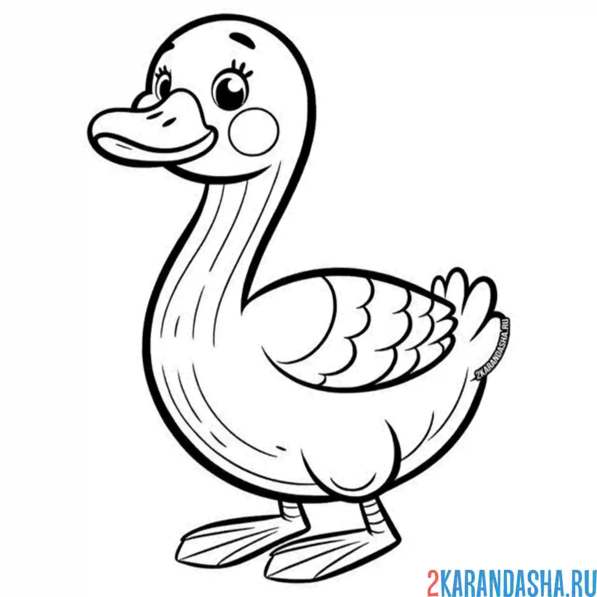 Раскраска красивая утка уточка