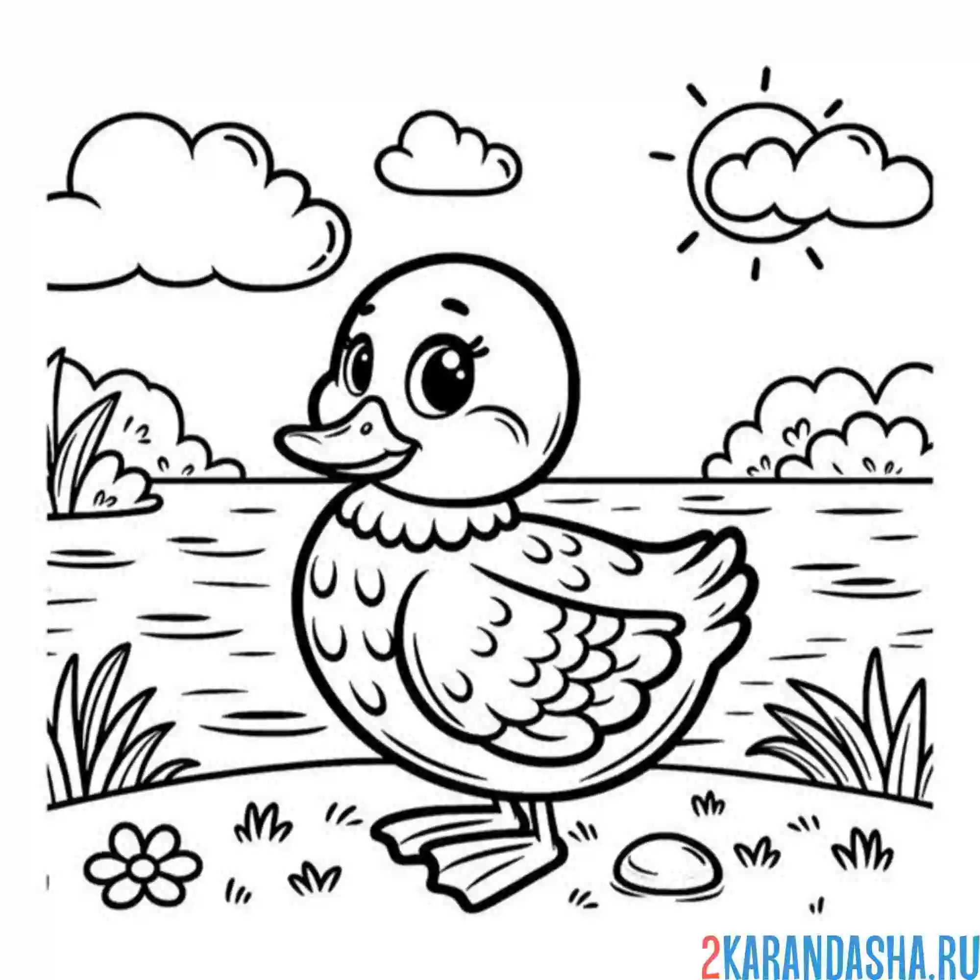 Раскраска утка у пруда