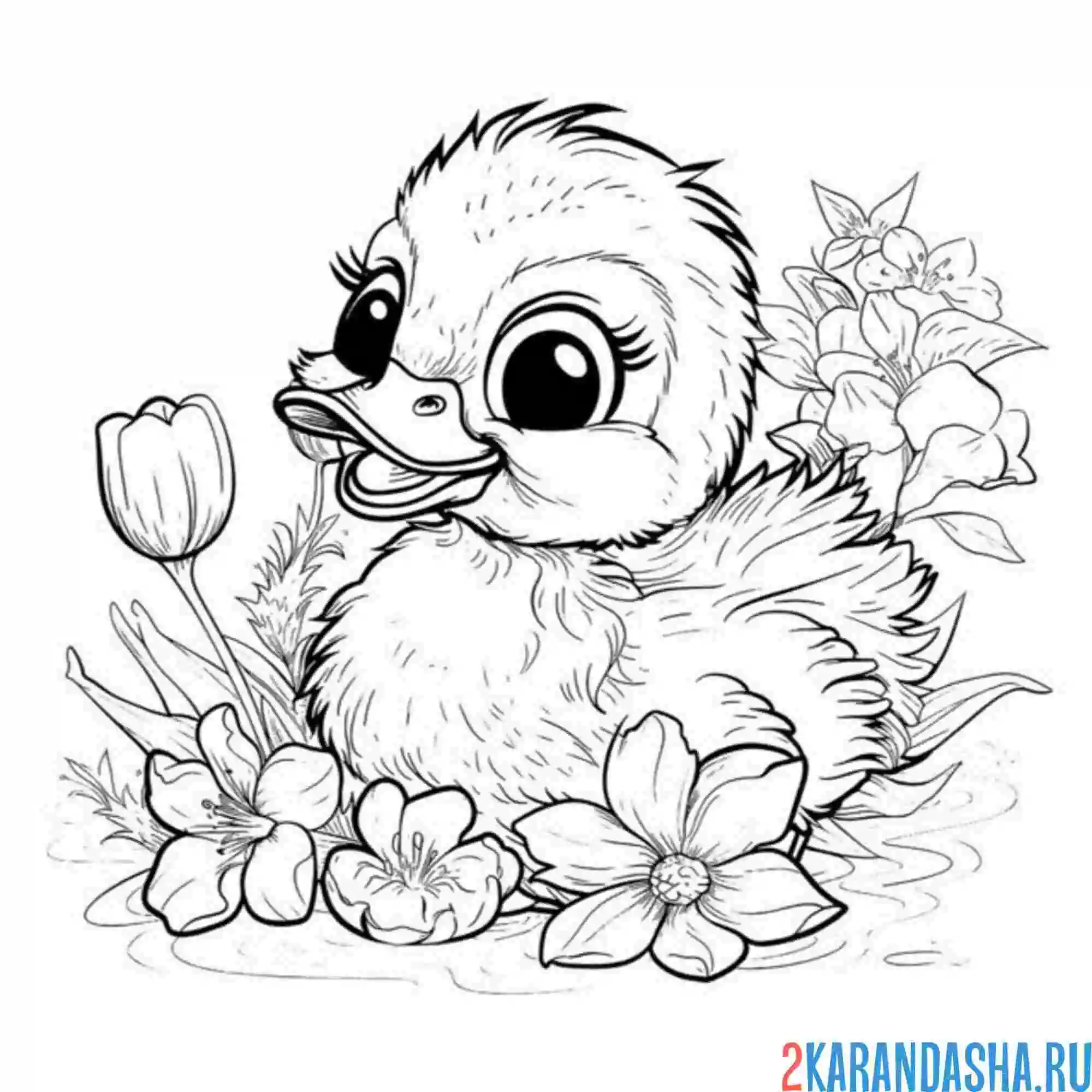 Раскраска утенок с цветочком