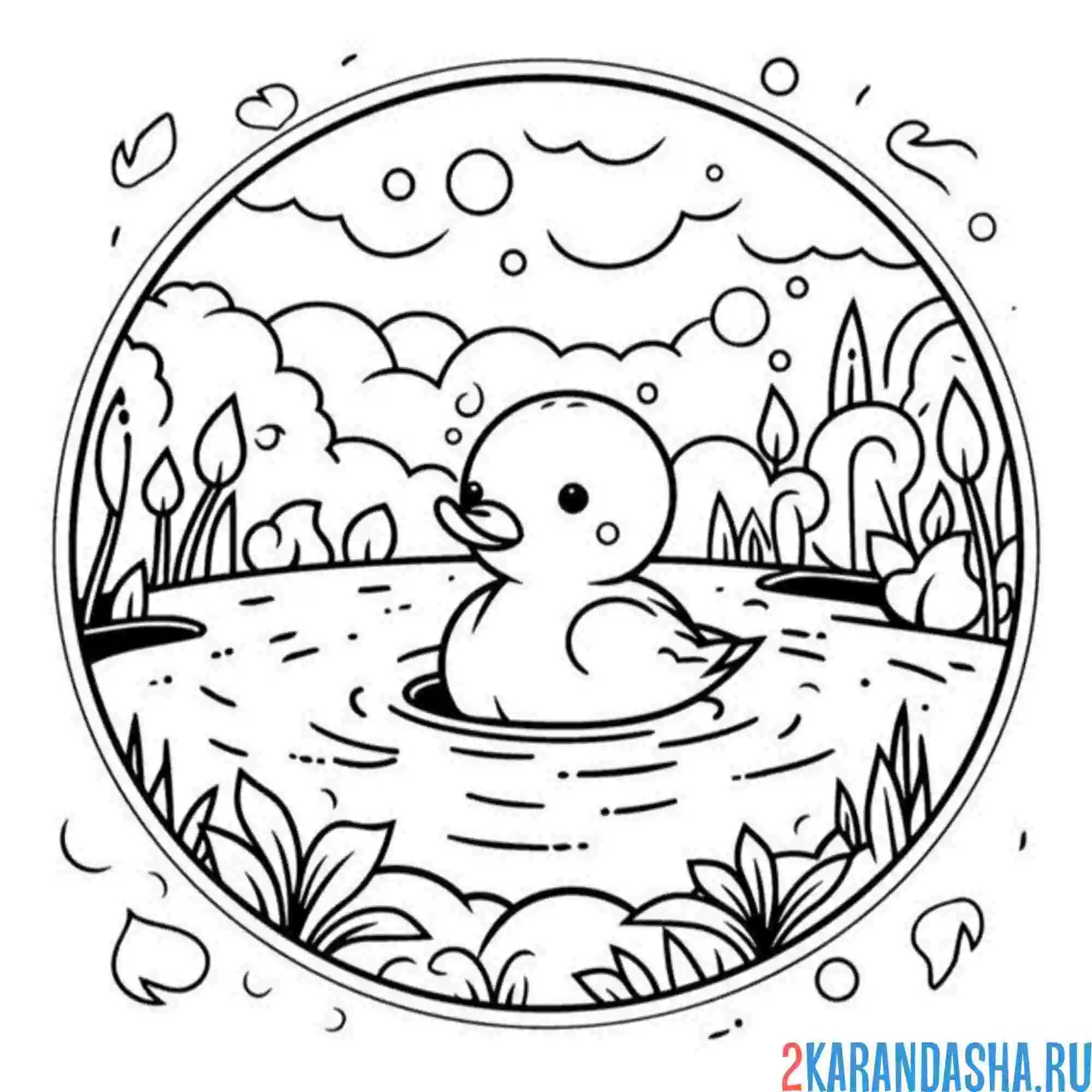 Раскраска малыш утенок плавает