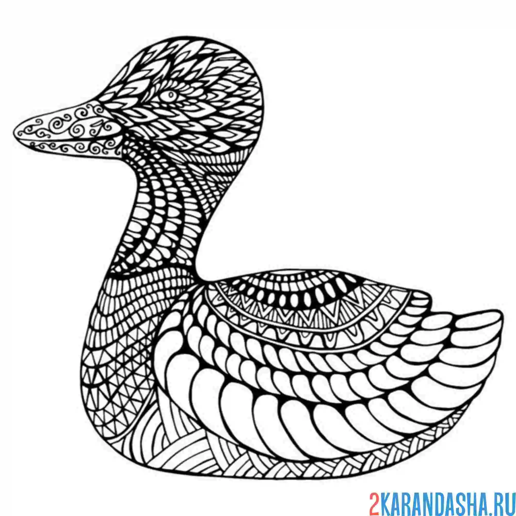 Раскраска утка антистресс