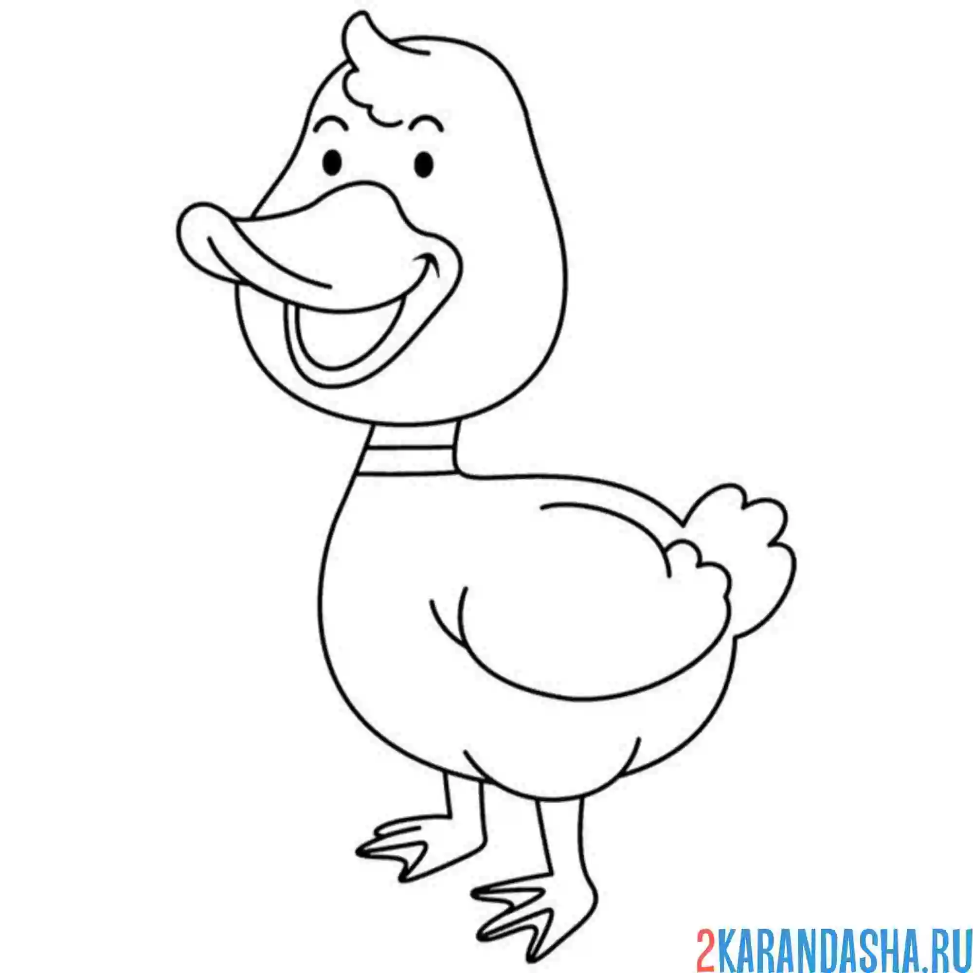 Раскраска утка громко смеется