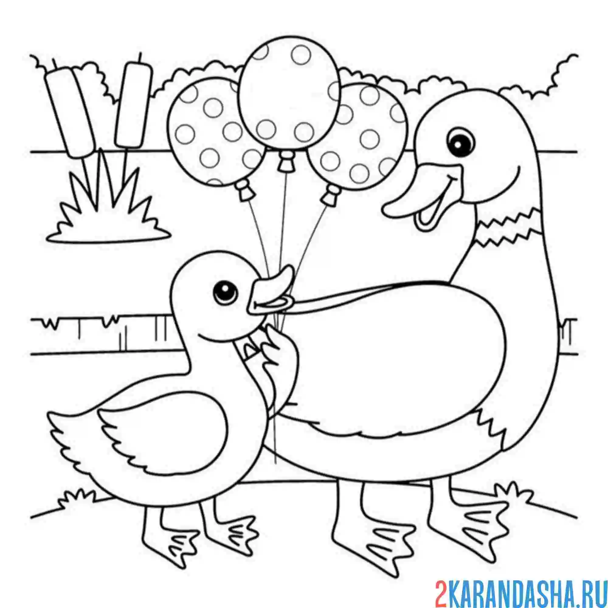 Раскраска утенок дарит утке шары