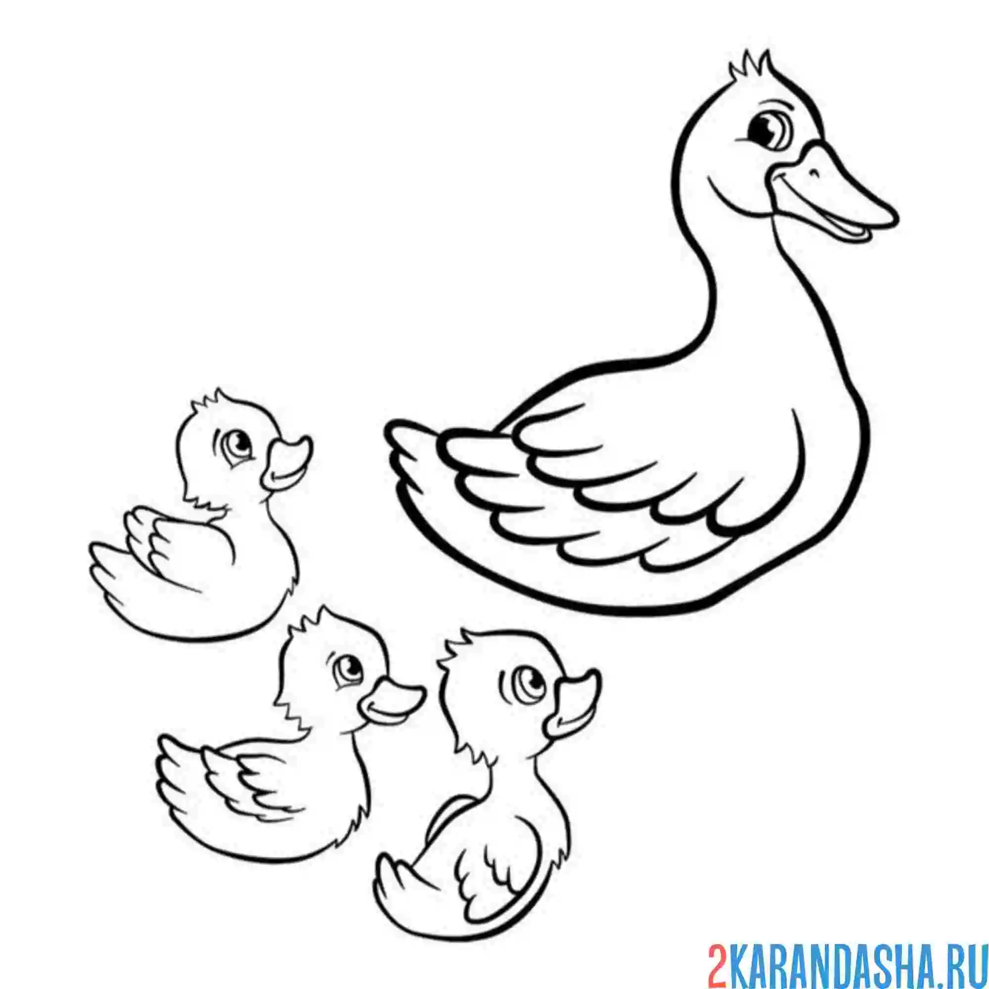 Раскраска мама утка и три утенка