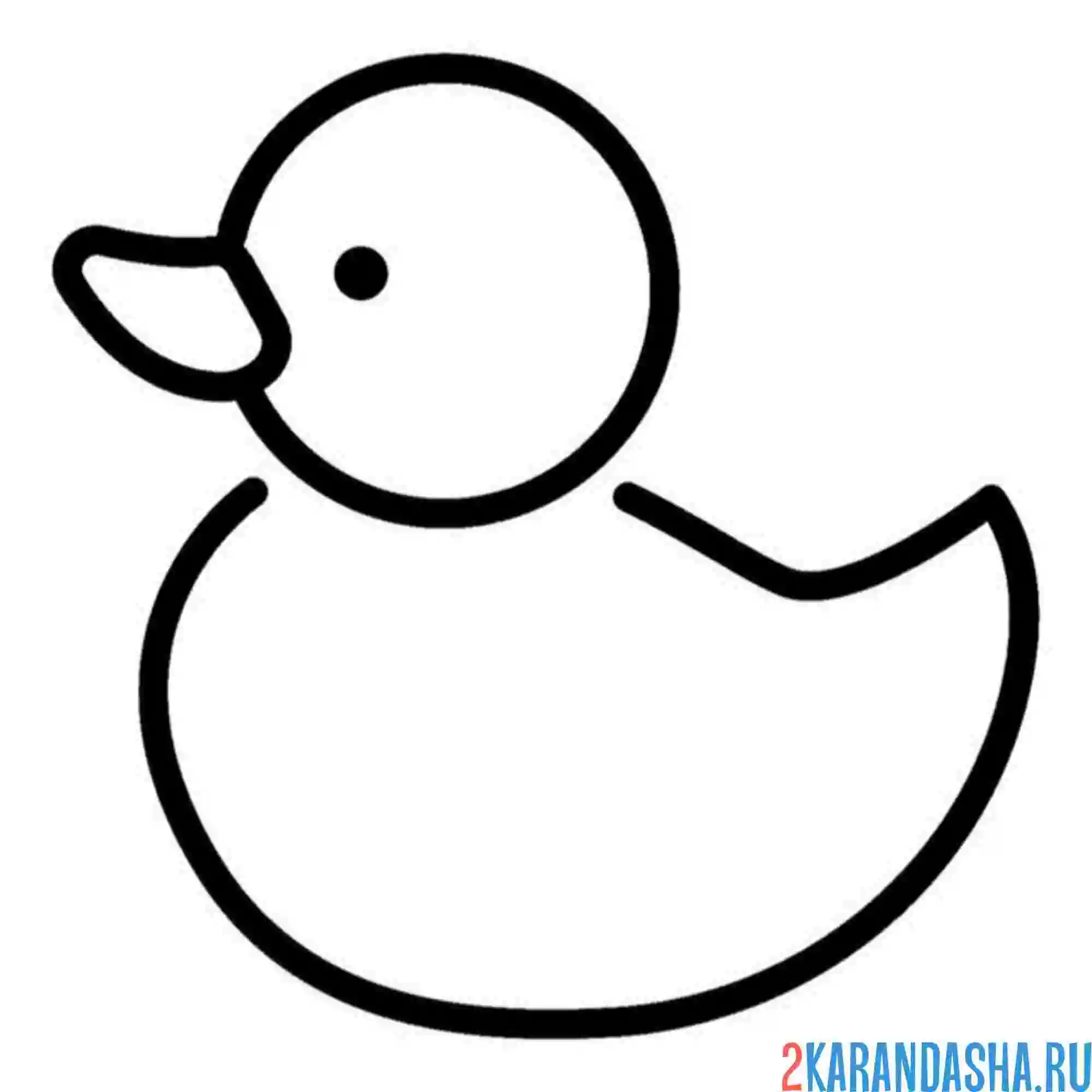 Раскраска простая утка