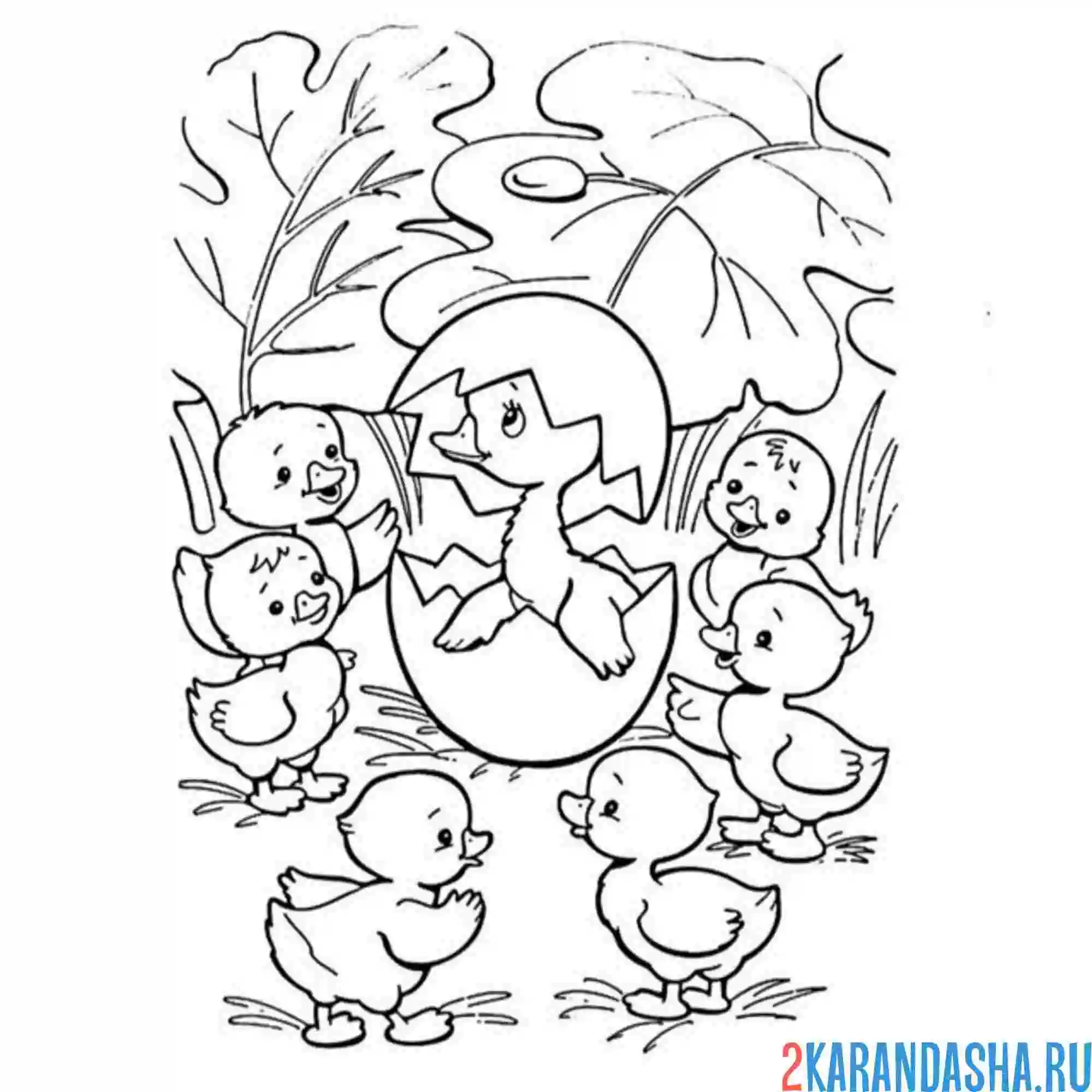 Раскраска гадкий утенок вылупился