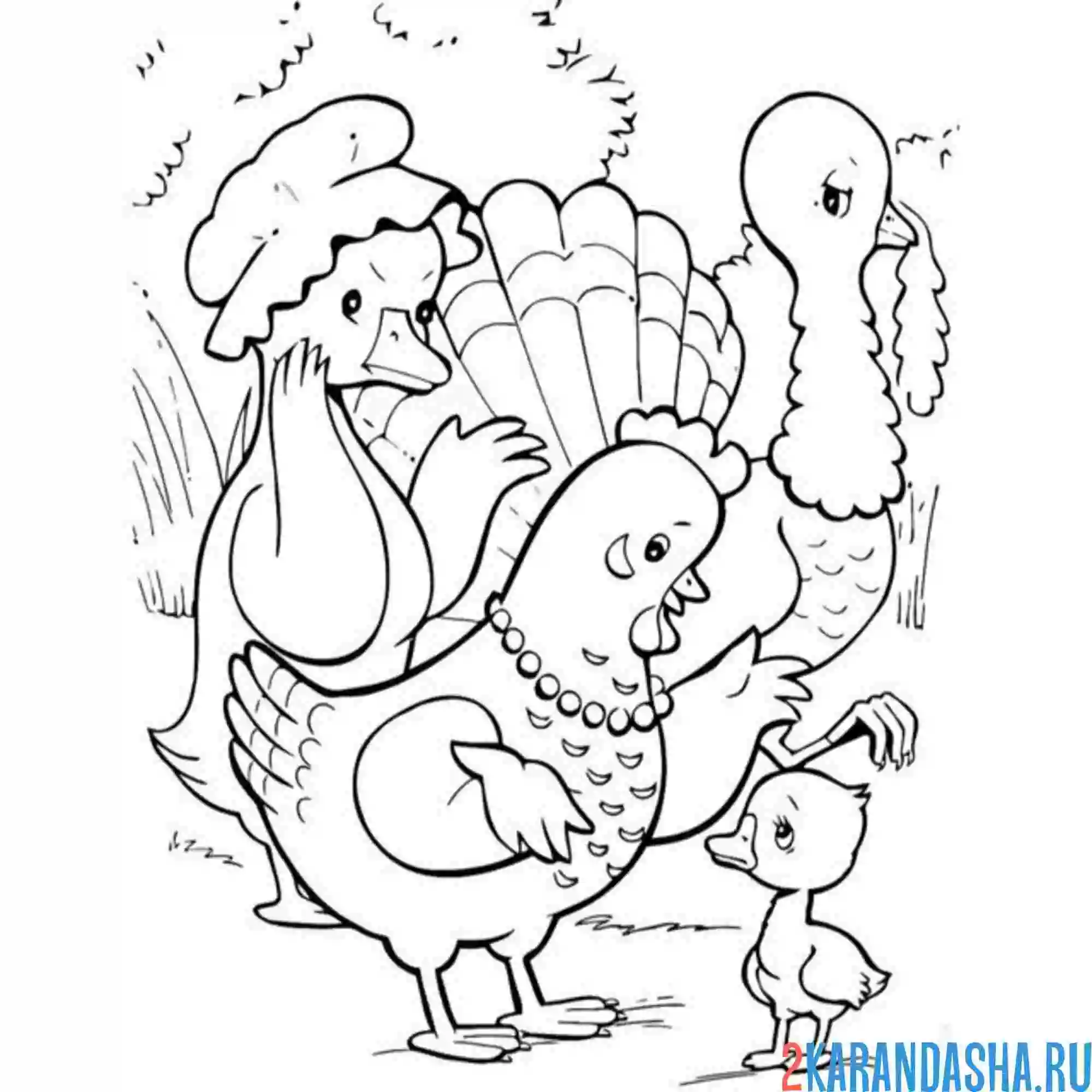 Раскраска гадкий утенок и курицы