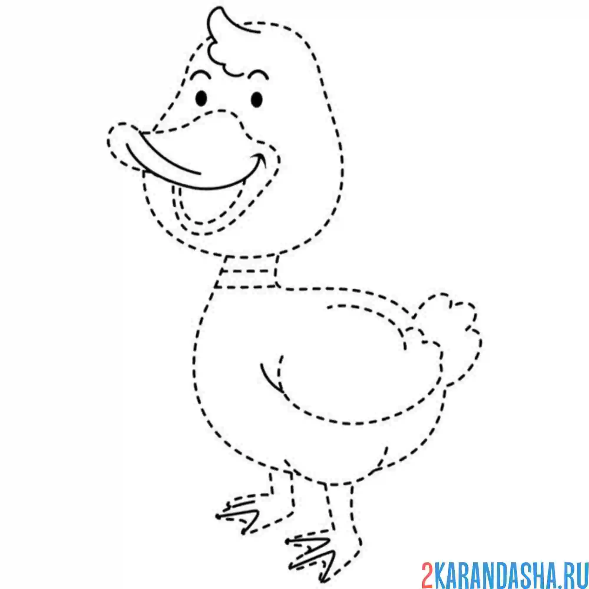 Раскраска утка по линиям