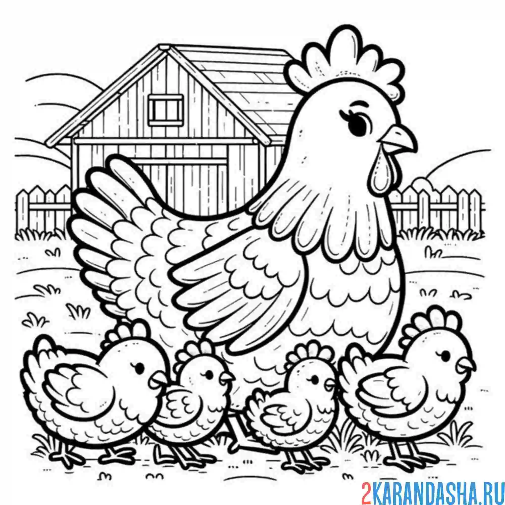 Раскраска курица и 4 цыпленка