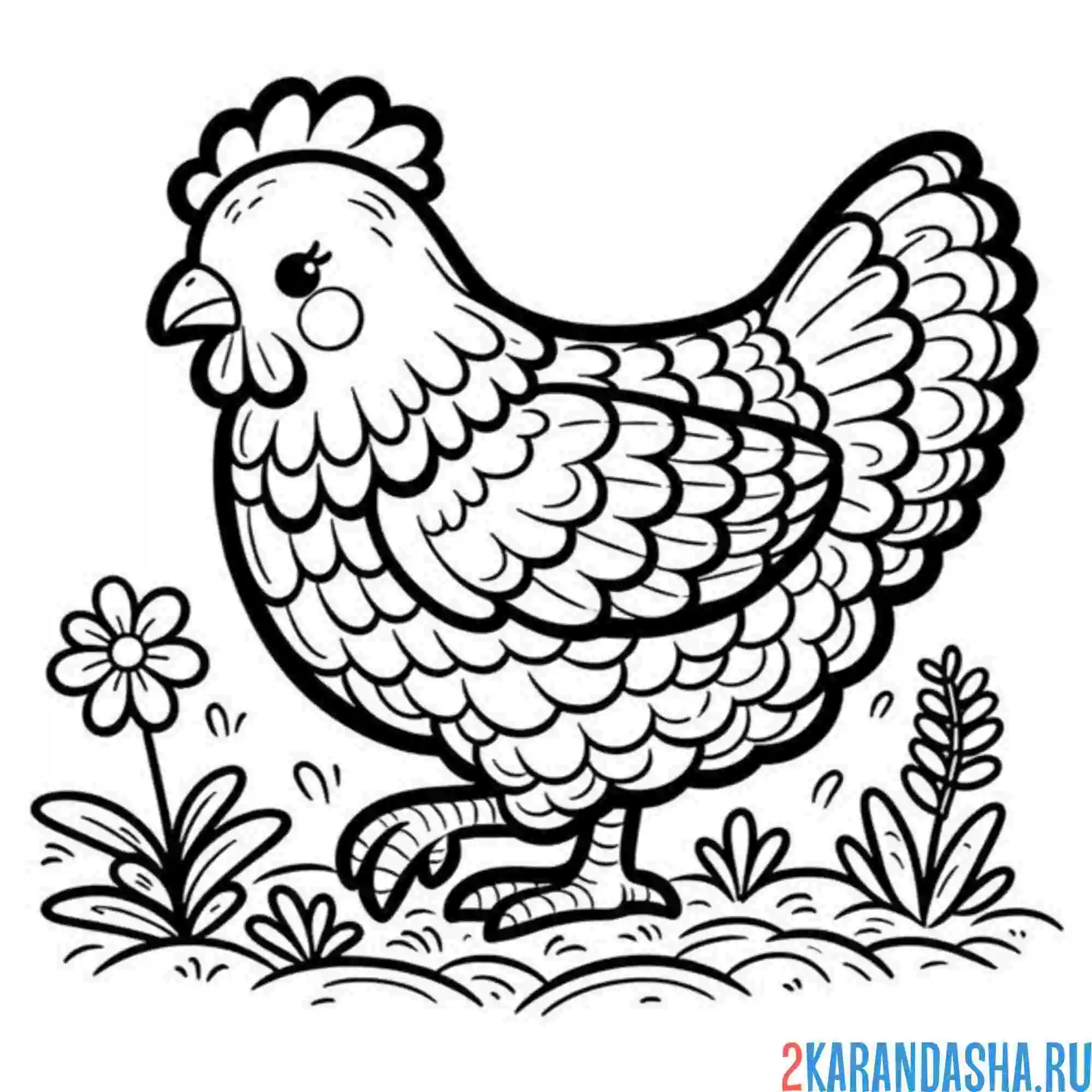 Раскраска курица красотка