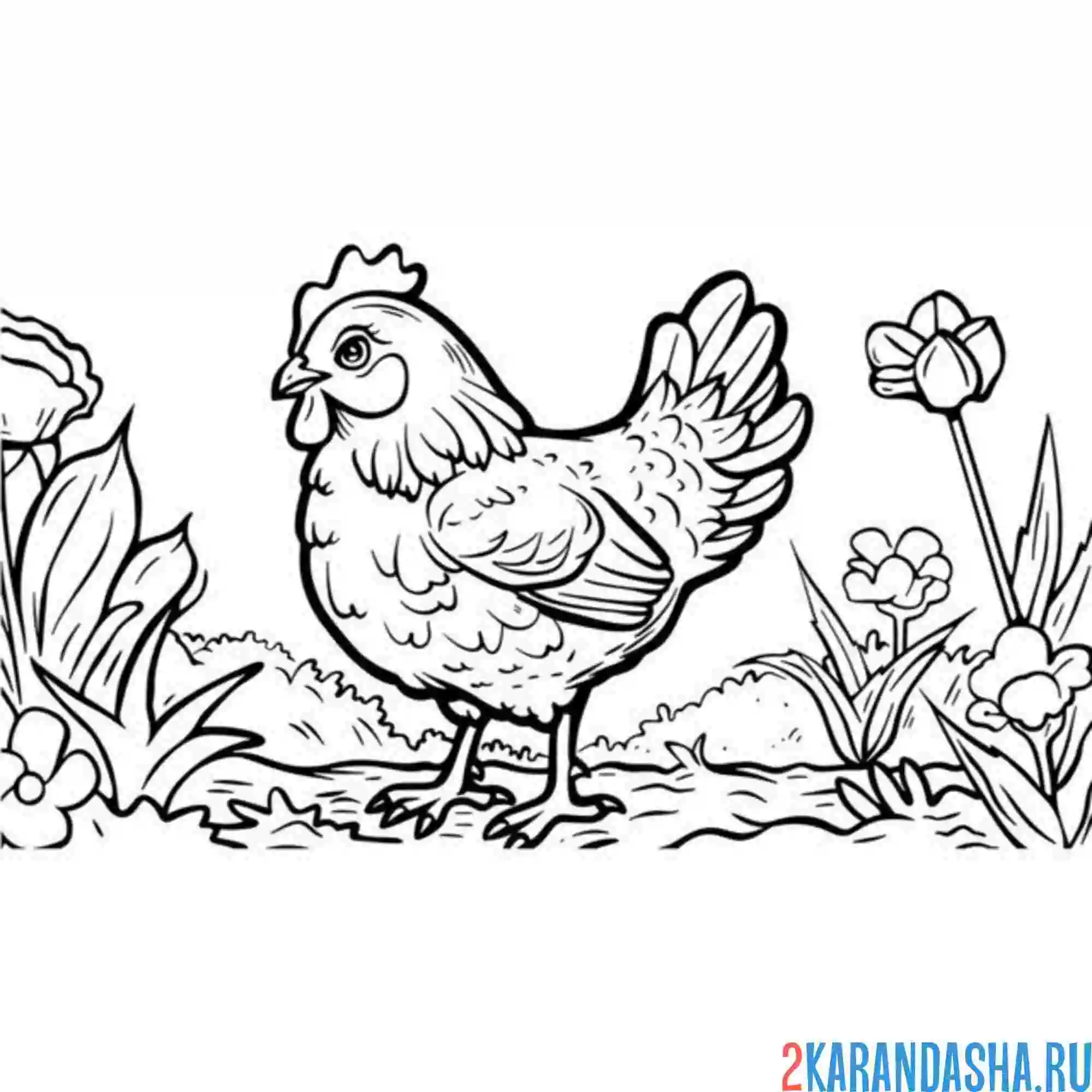Раскраска курица в цветах