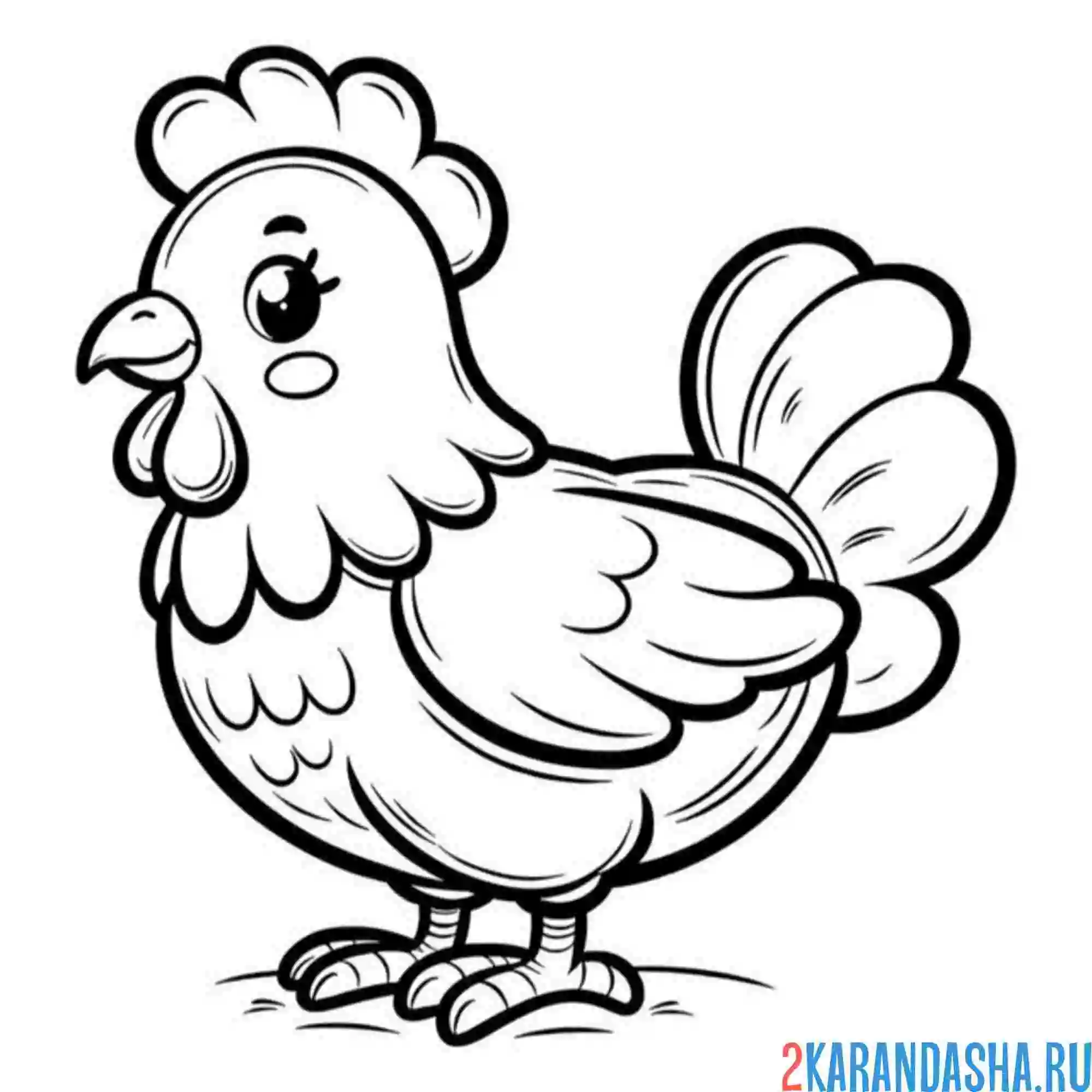 Раскраска курица красивая