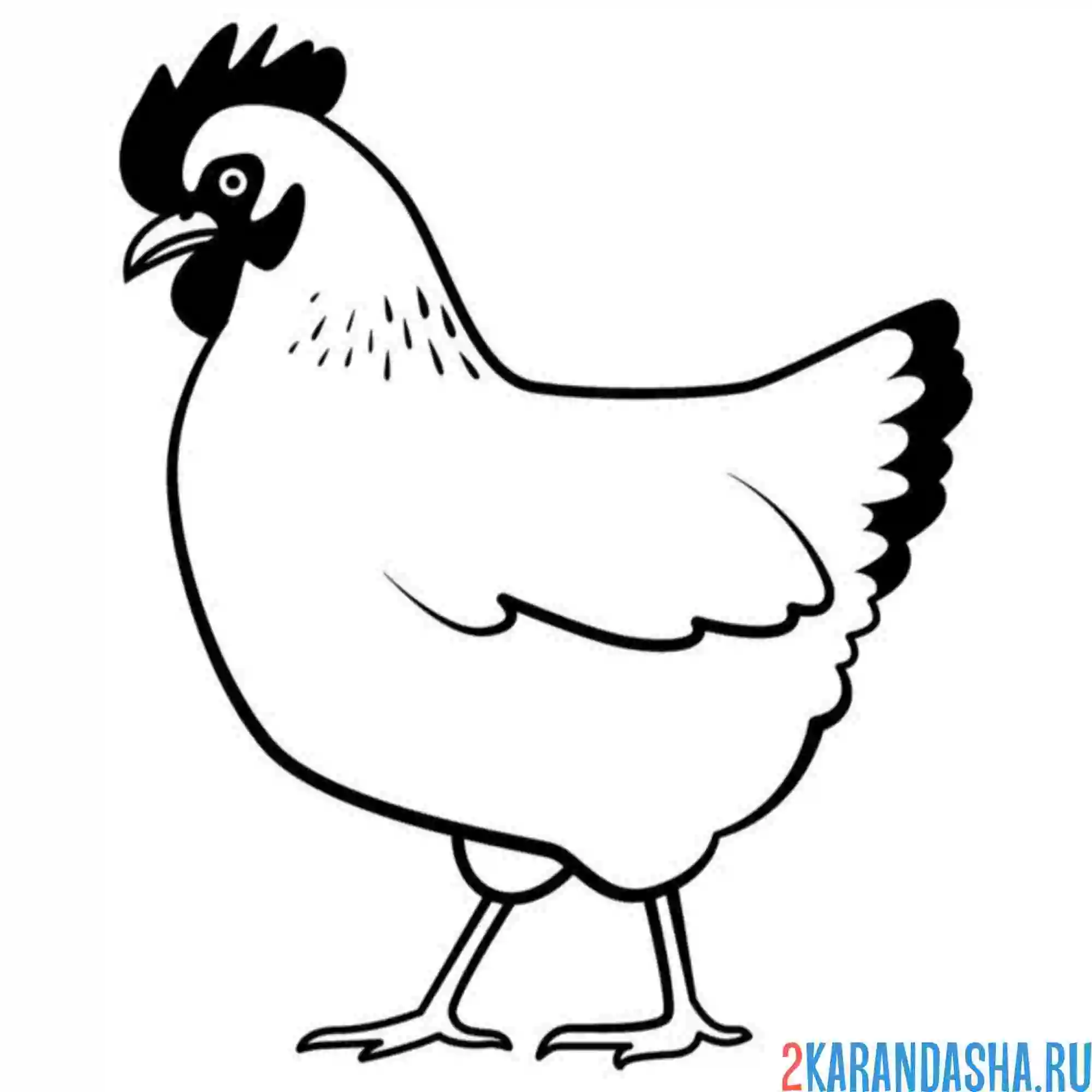 Раскраска курица ко-ко