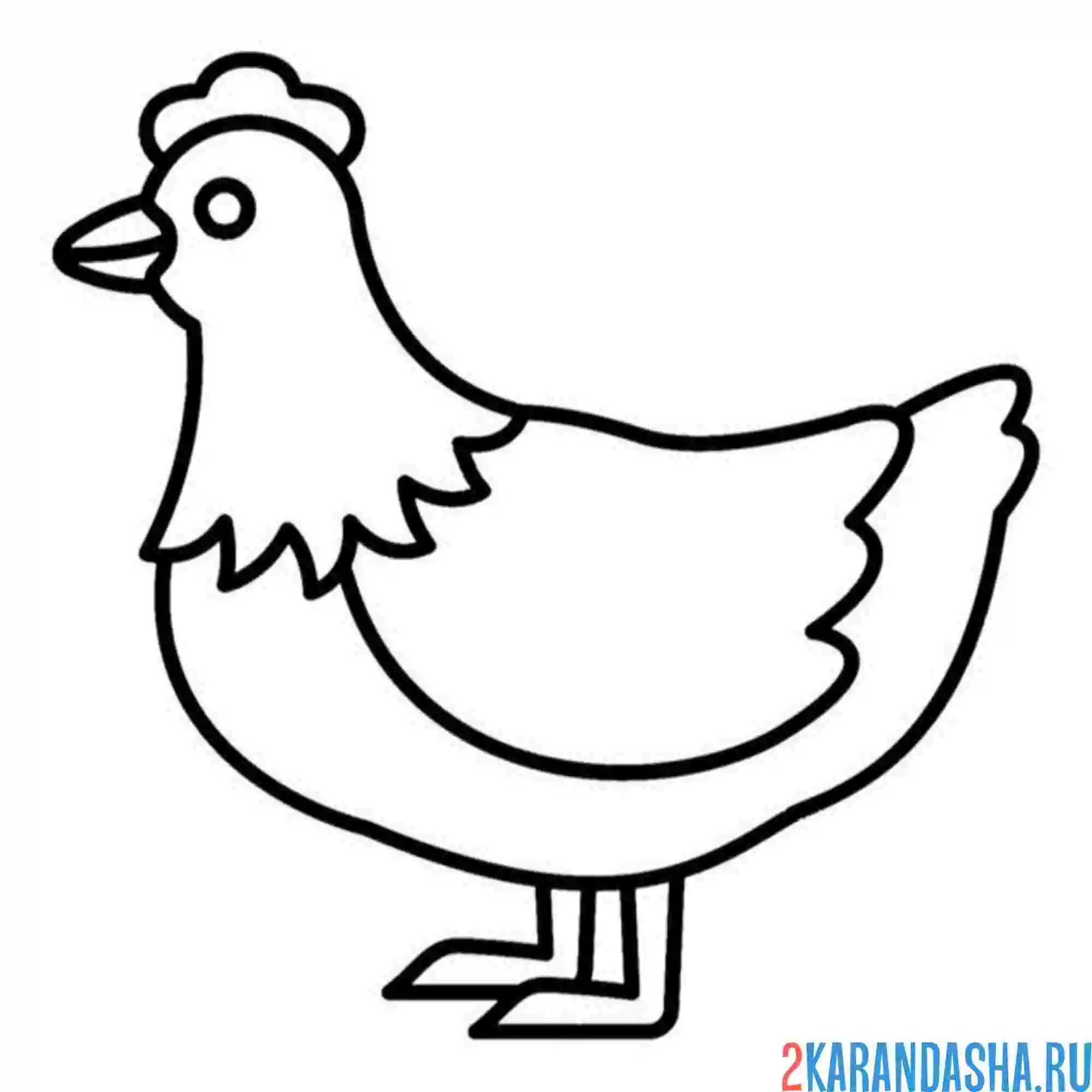 Раскраска курочка схема