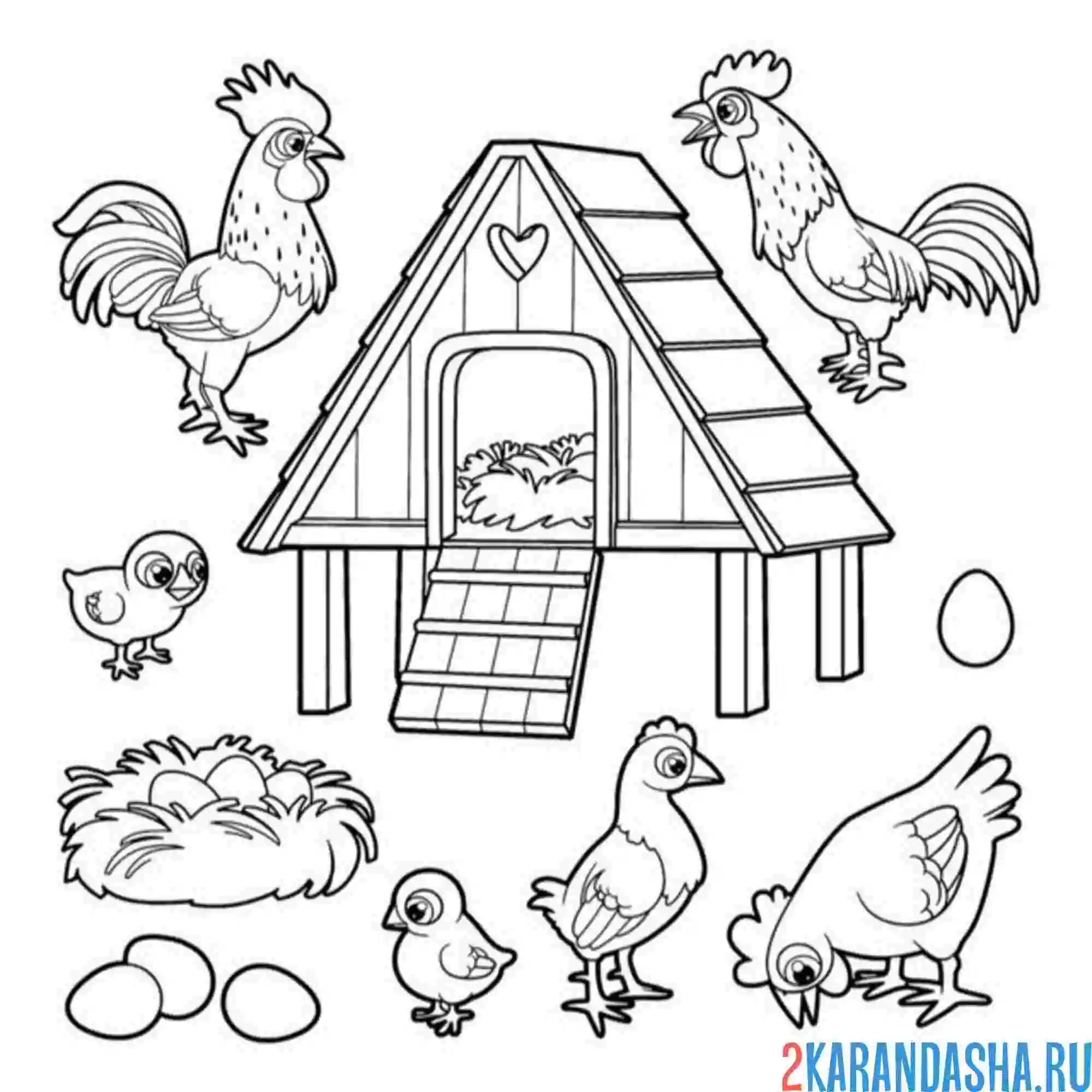 Раскраска петух курица курятник цыплята