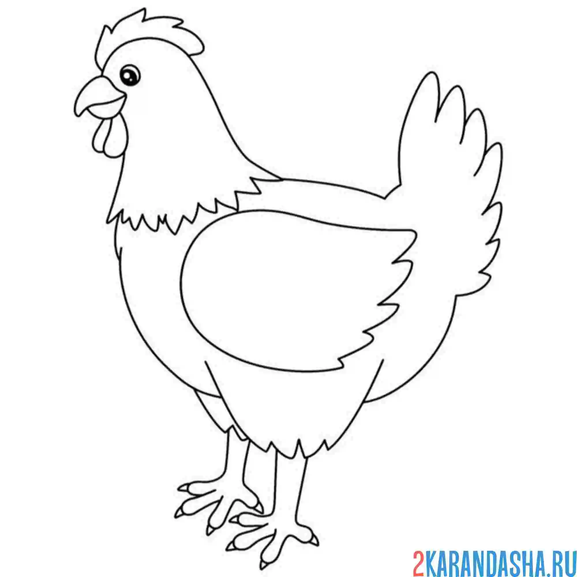 Раскраска курица на улице