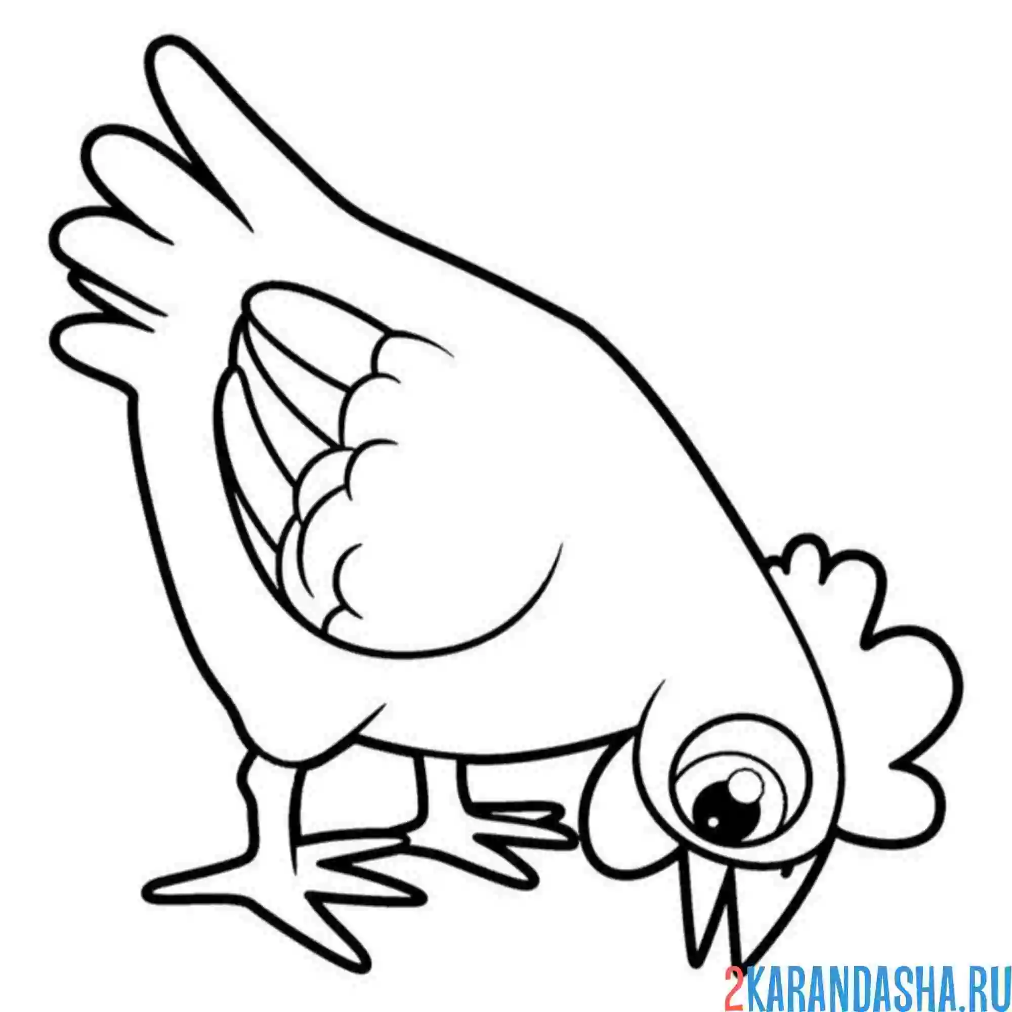 Раскраска курица ищет еду