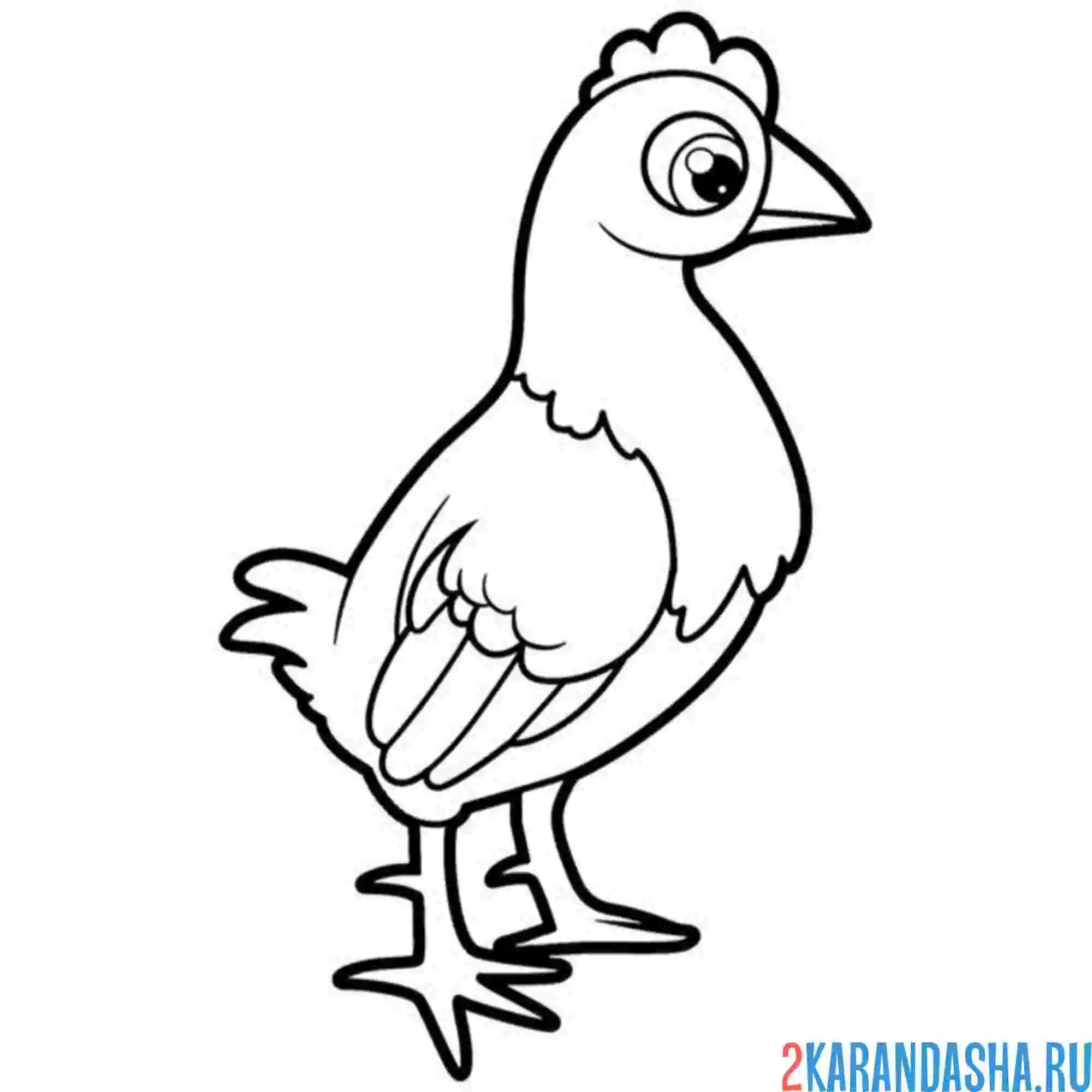 Раскраска курочка или курица