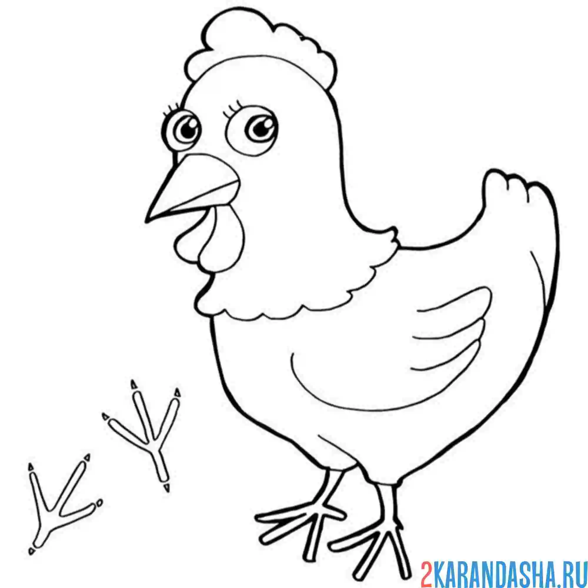 Раскраска куриные следы