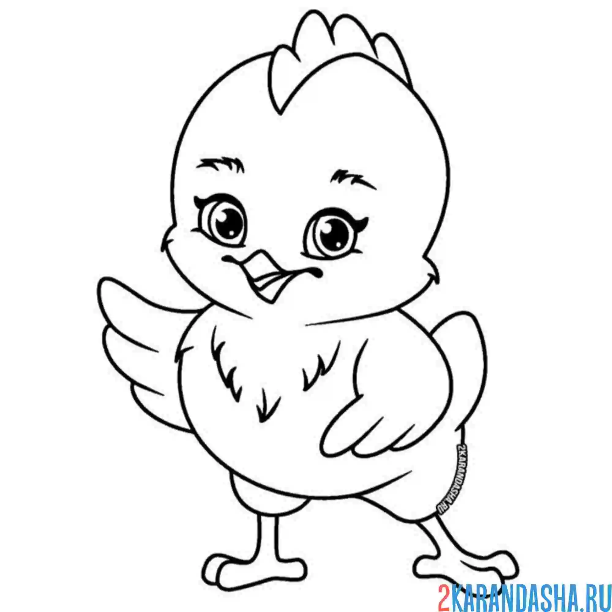 Раскраска цыпленок красивый милый