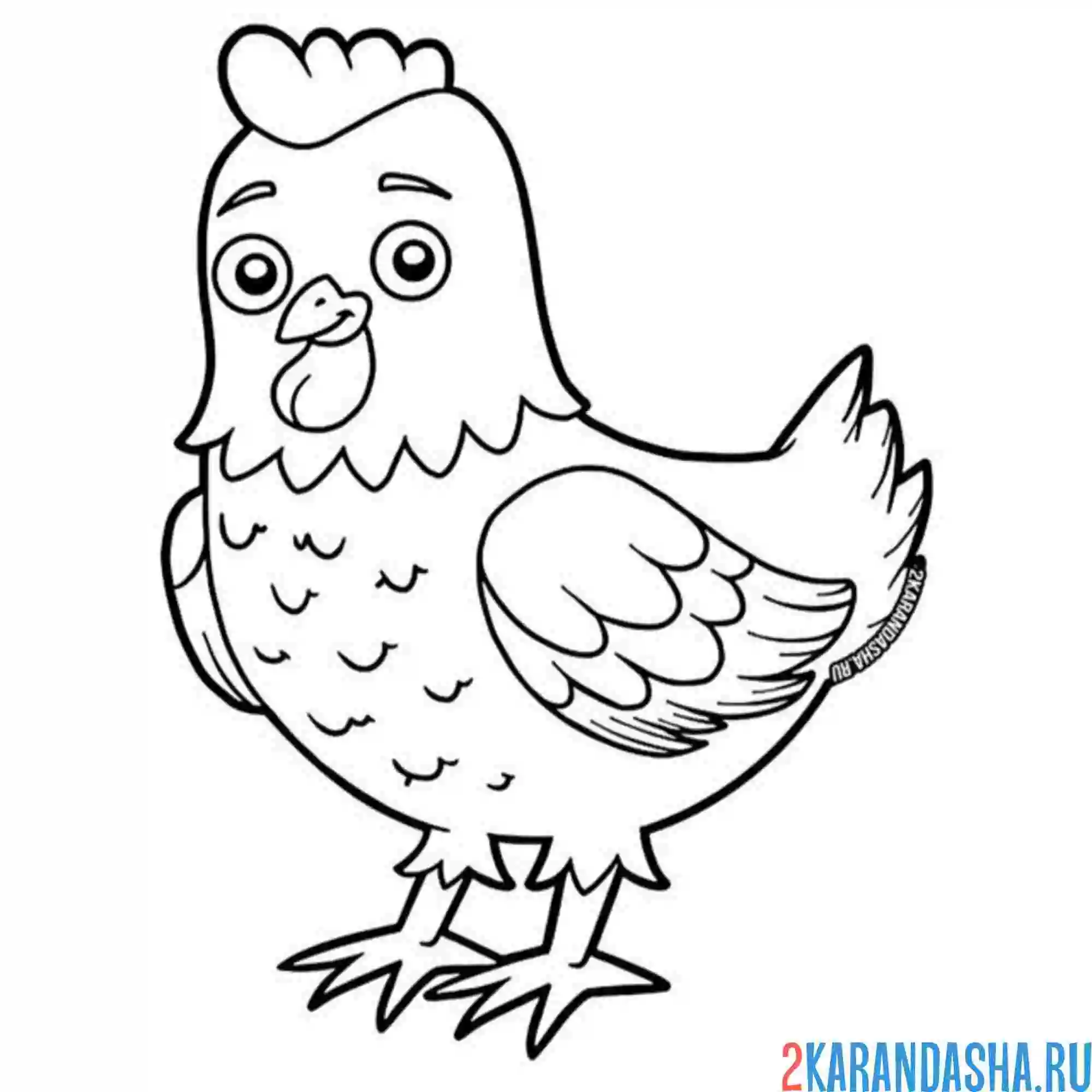 Раскраска курица добрая