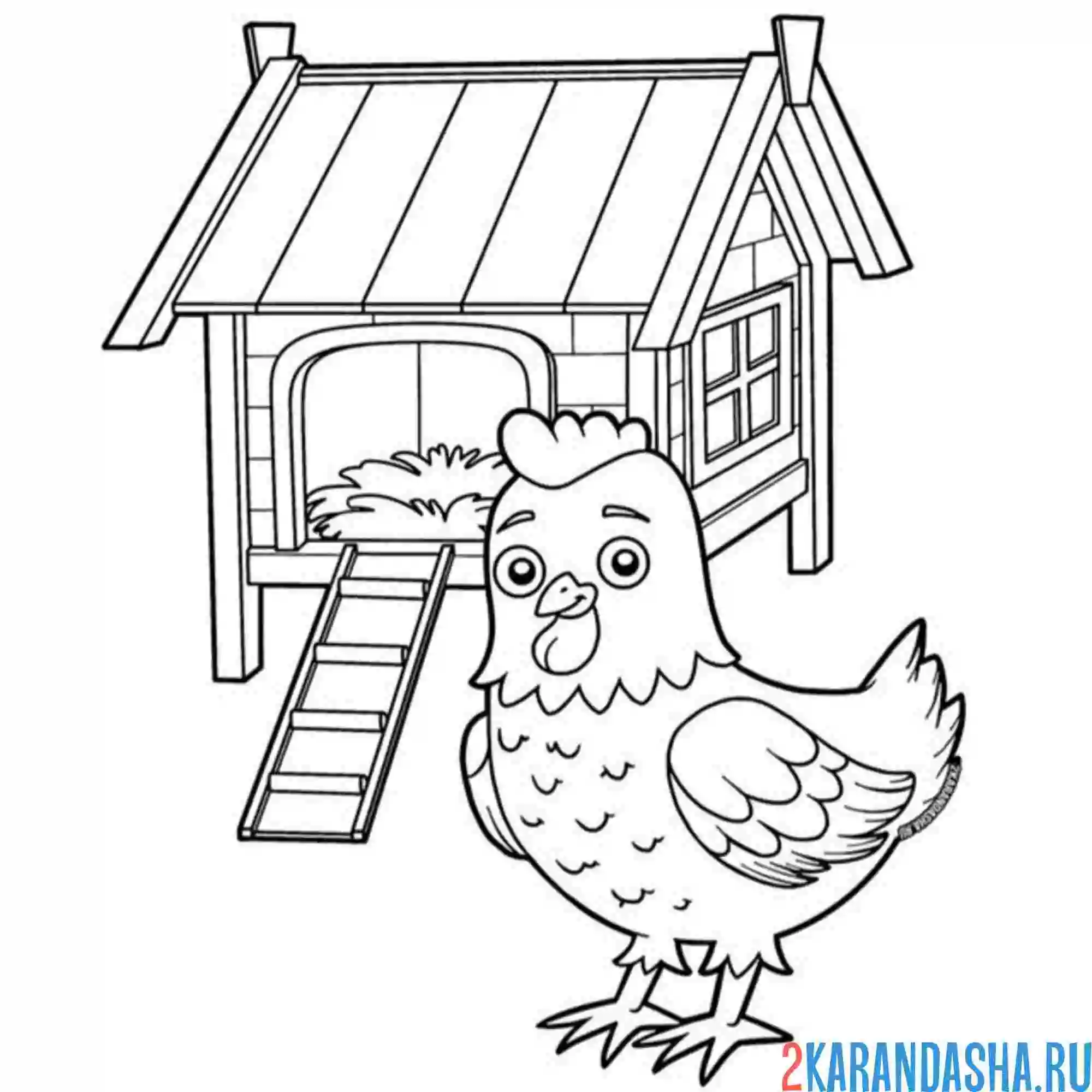 Раскраска курица и курятник