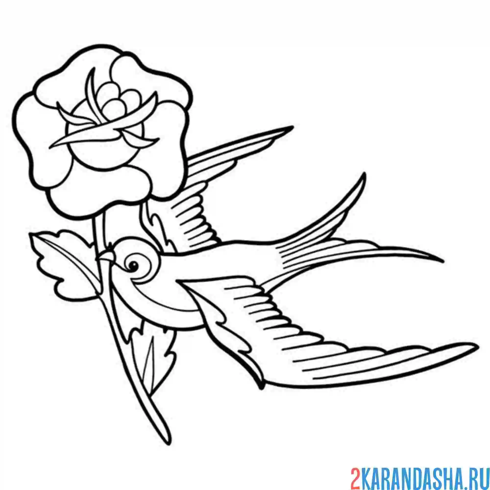 Раскраска птица ласточка