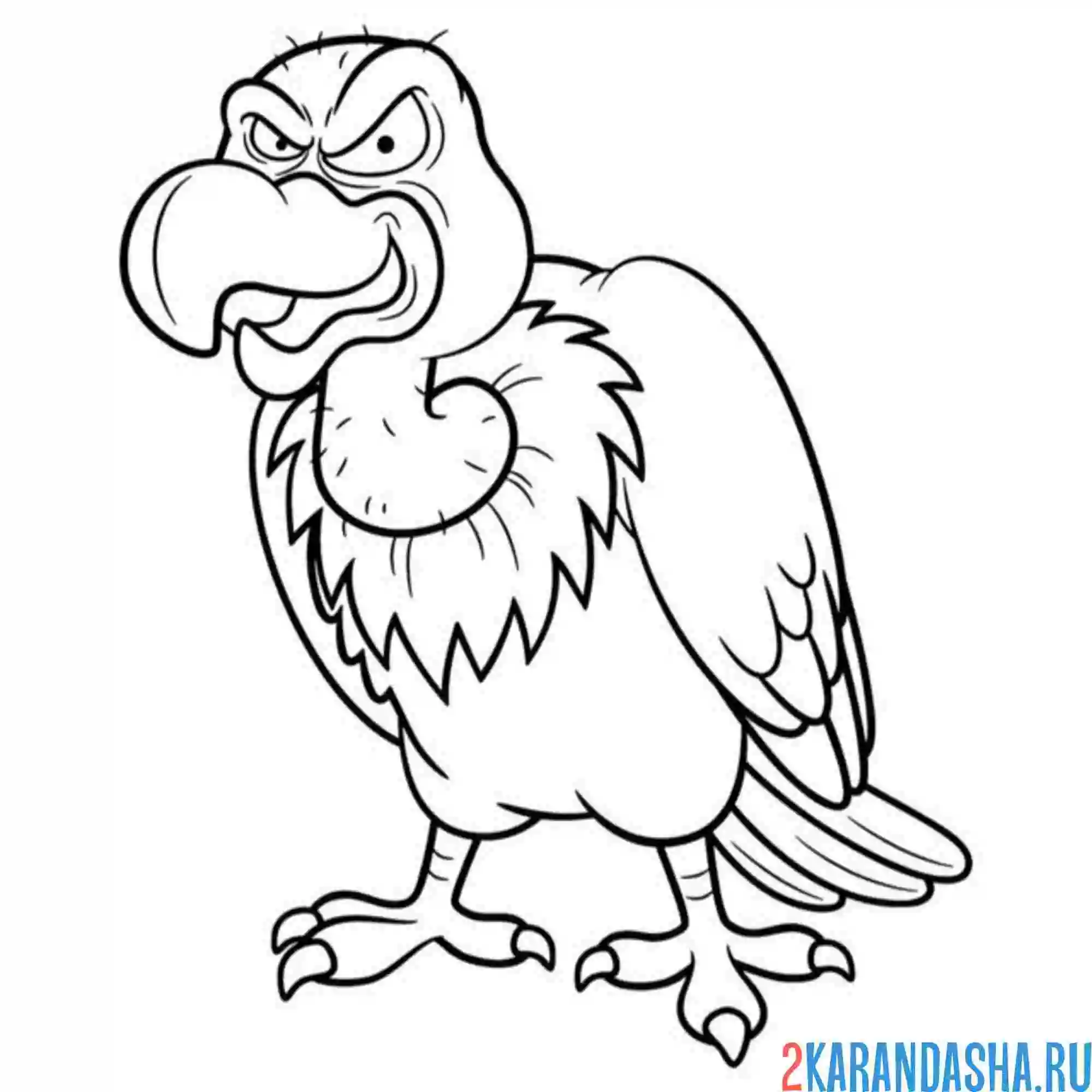 Раскраска птица стервятник