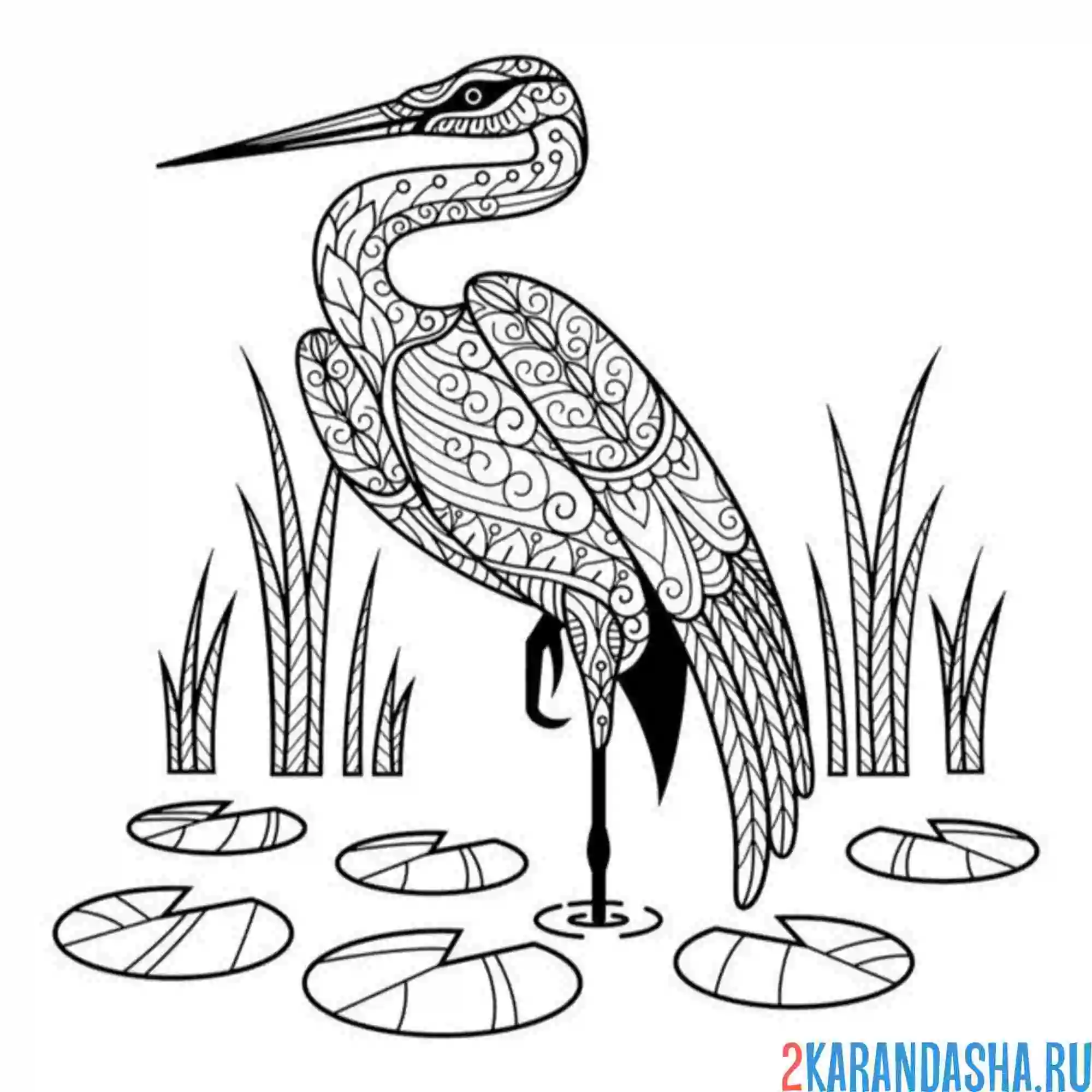 Раскраска цапля антистресс
