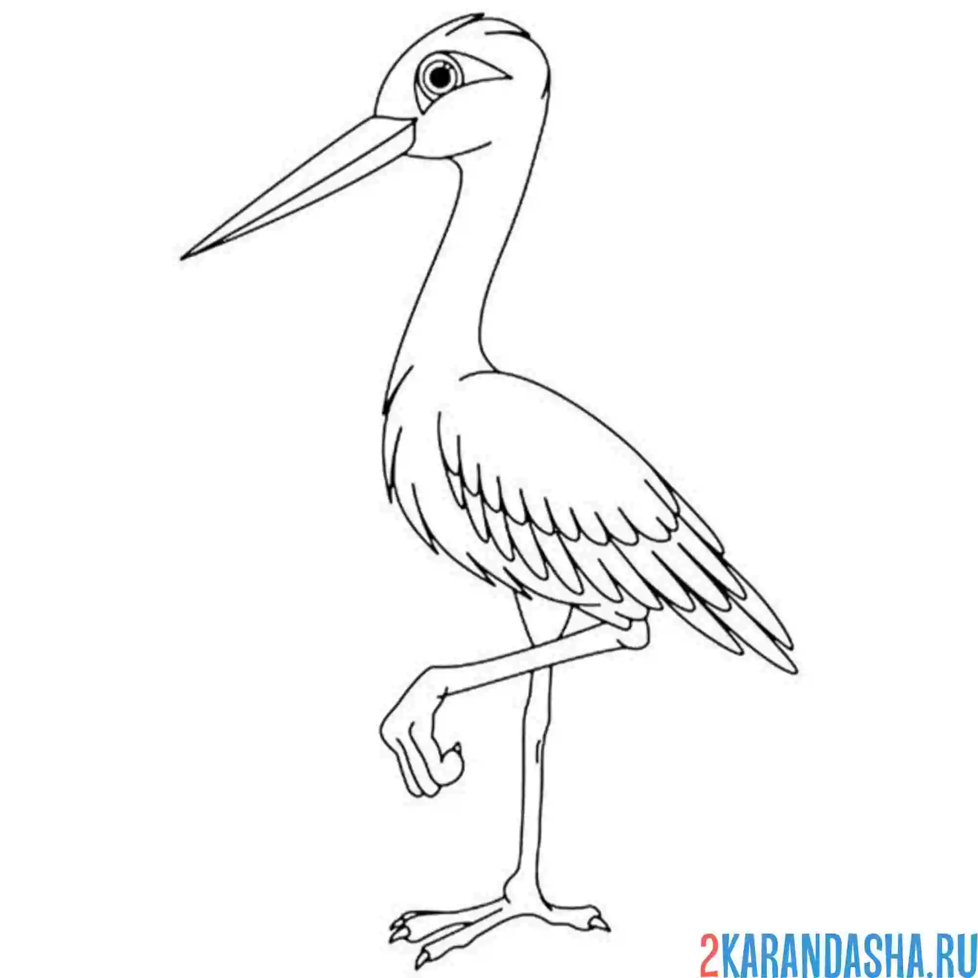 Раскраска красивый аист