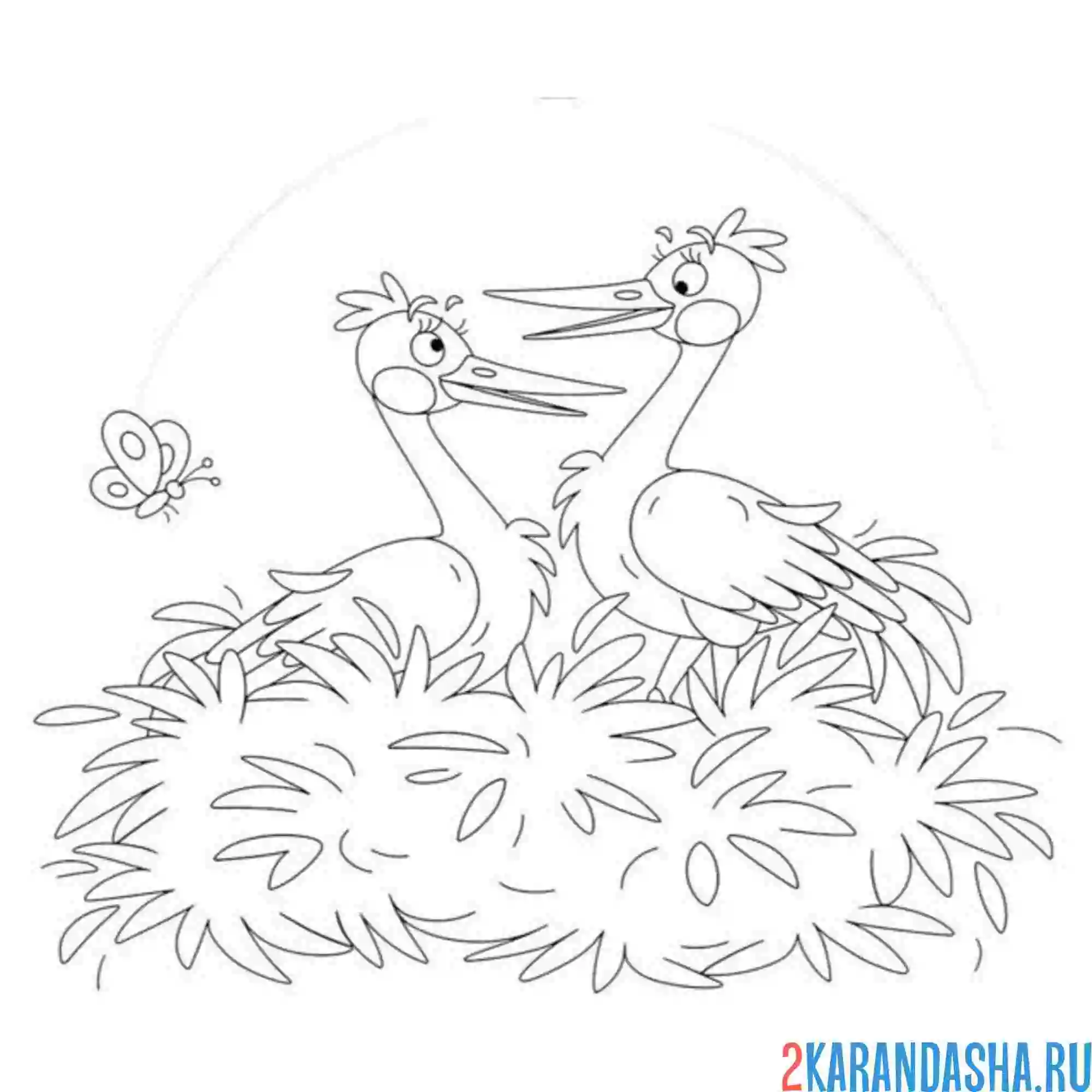 Раскраска семья аисты