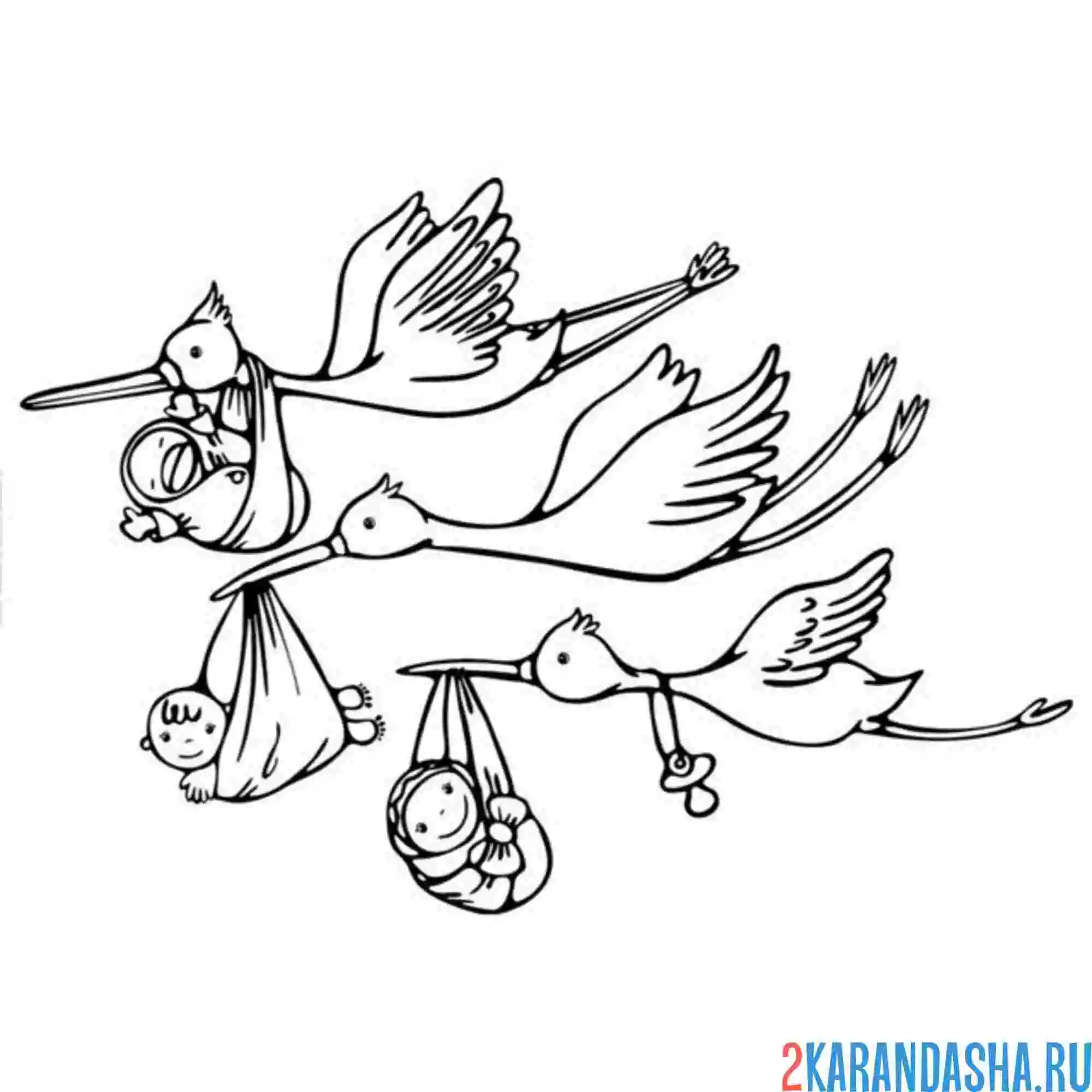 Раскраска три аиста