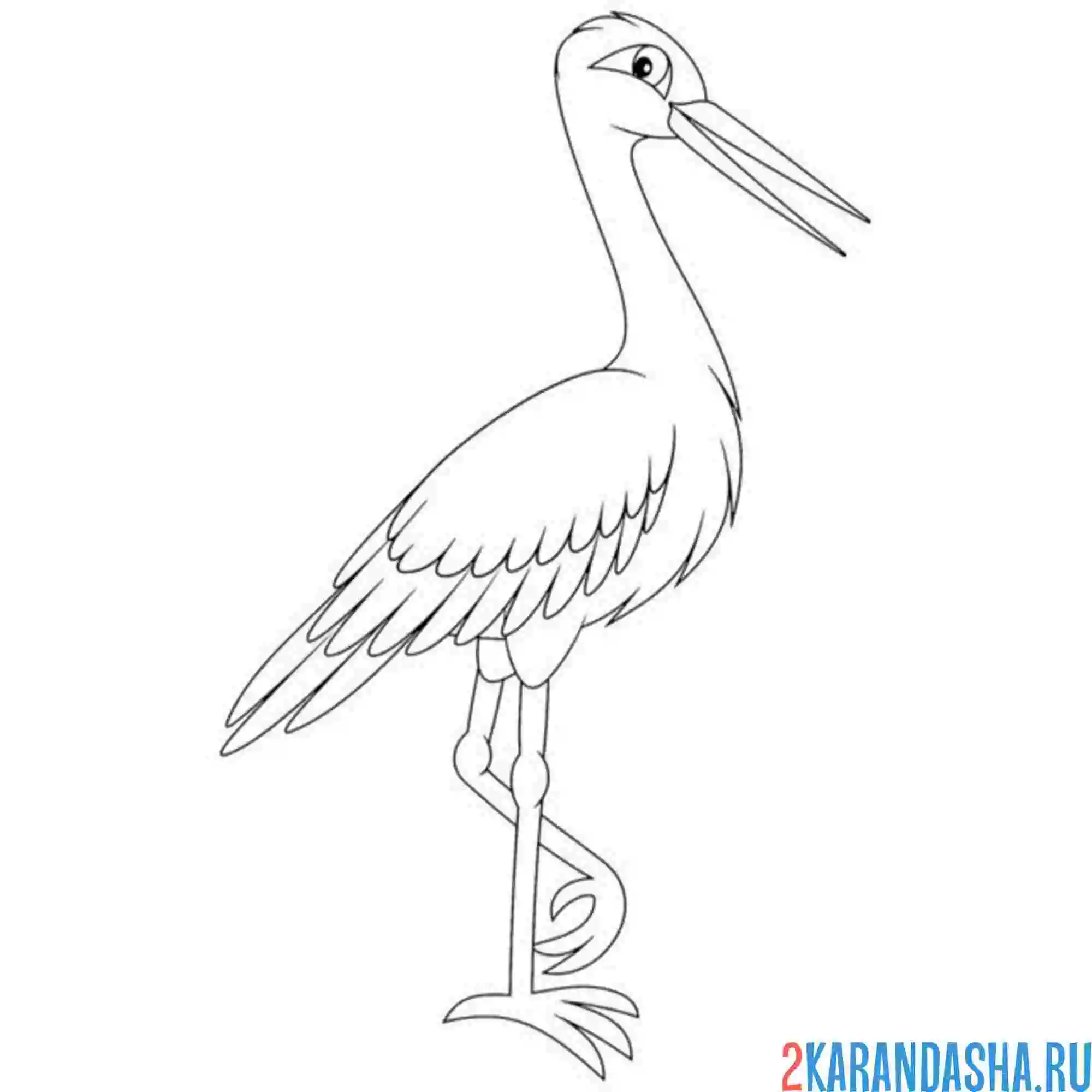 Раскраска черный аист