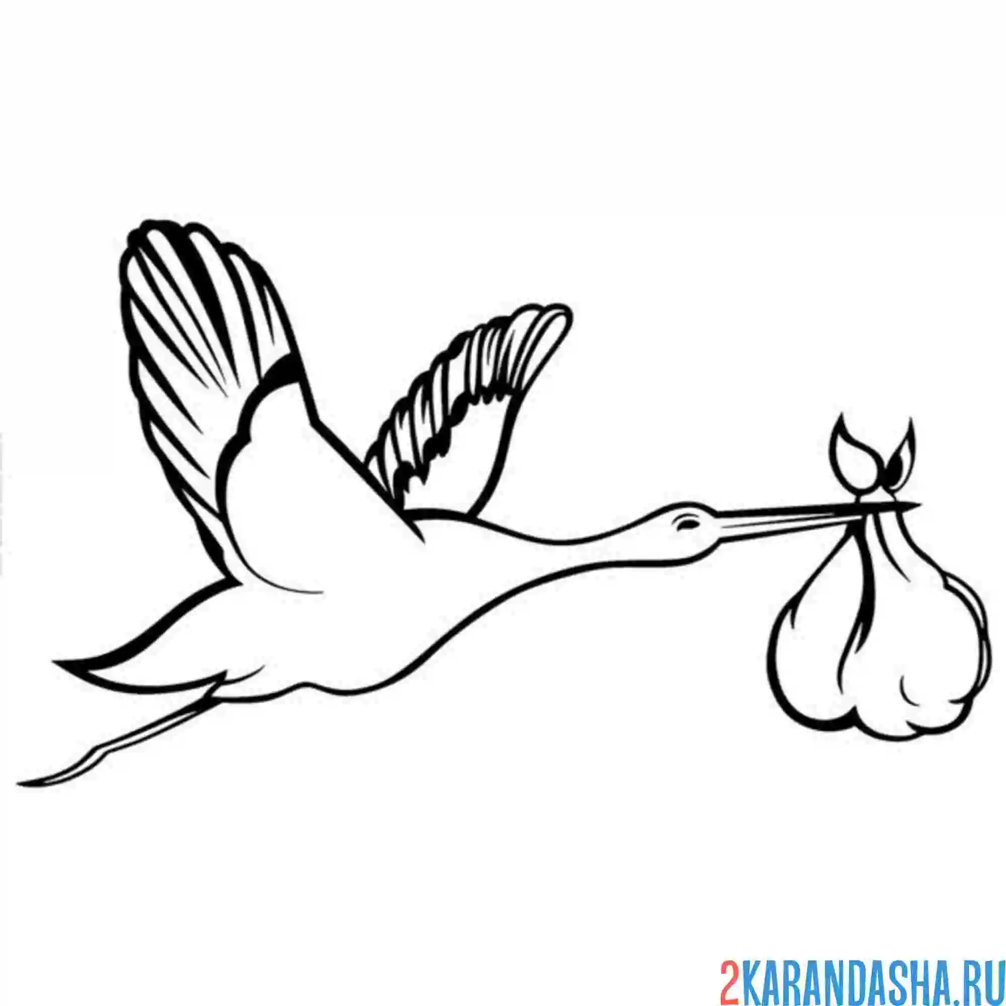 Раскраска аист малыш в кульке